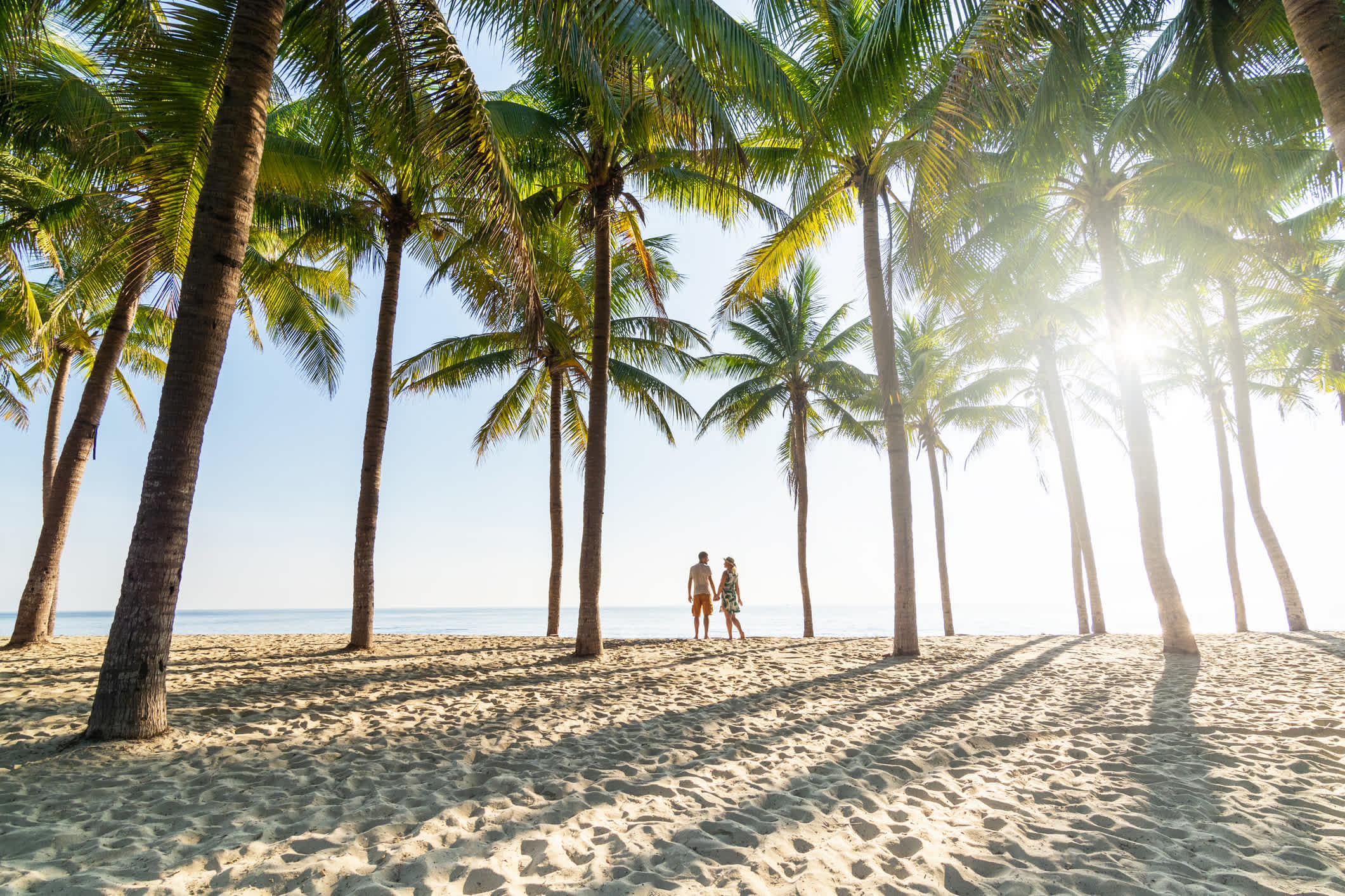 Un couple se tient sur une plage de sable entre des palmiers au Vietnam.

