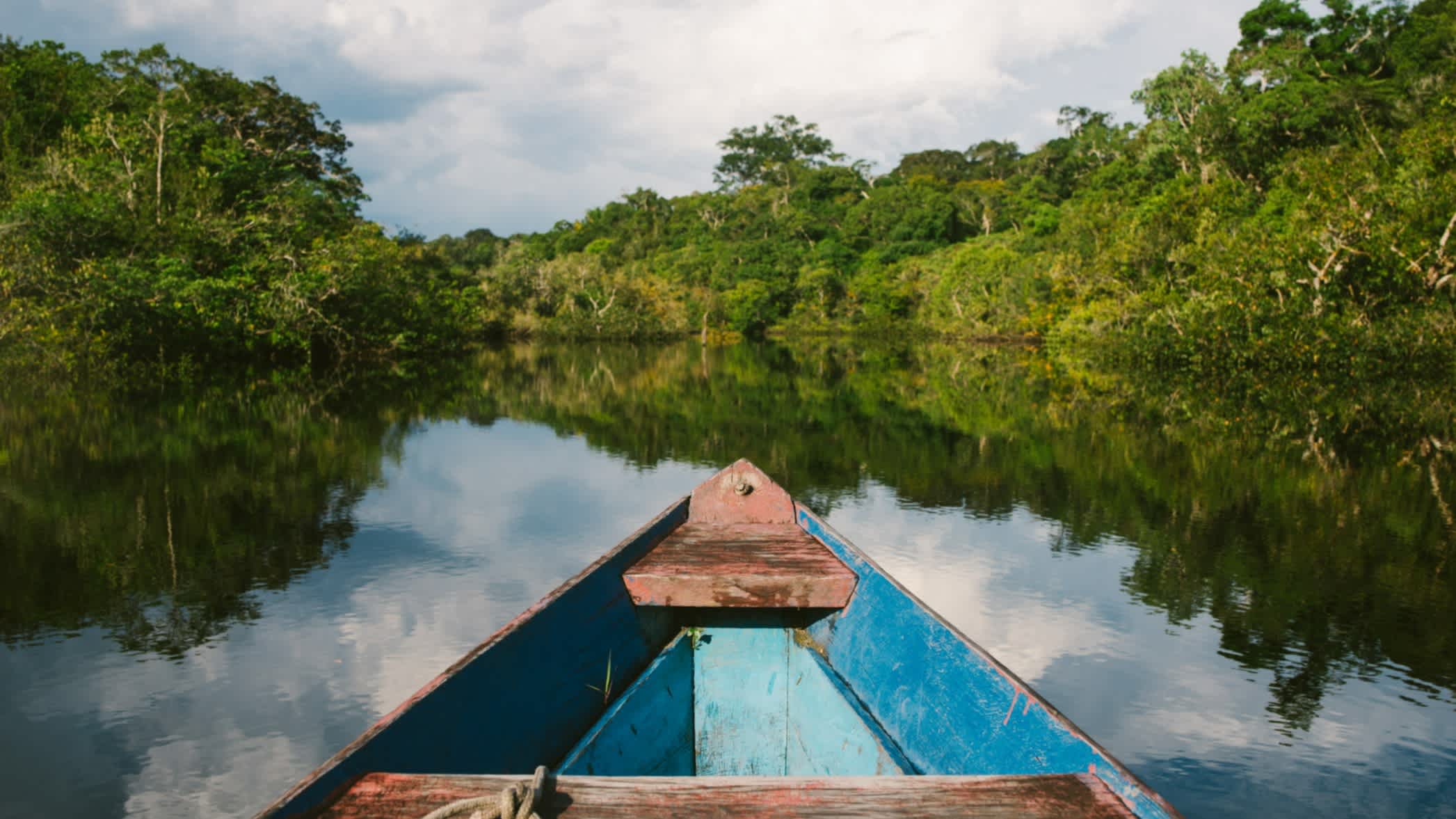 Kanufahrt auf dem Cuieiras-Fluss im brasilianischen Amazonas-Dschungel