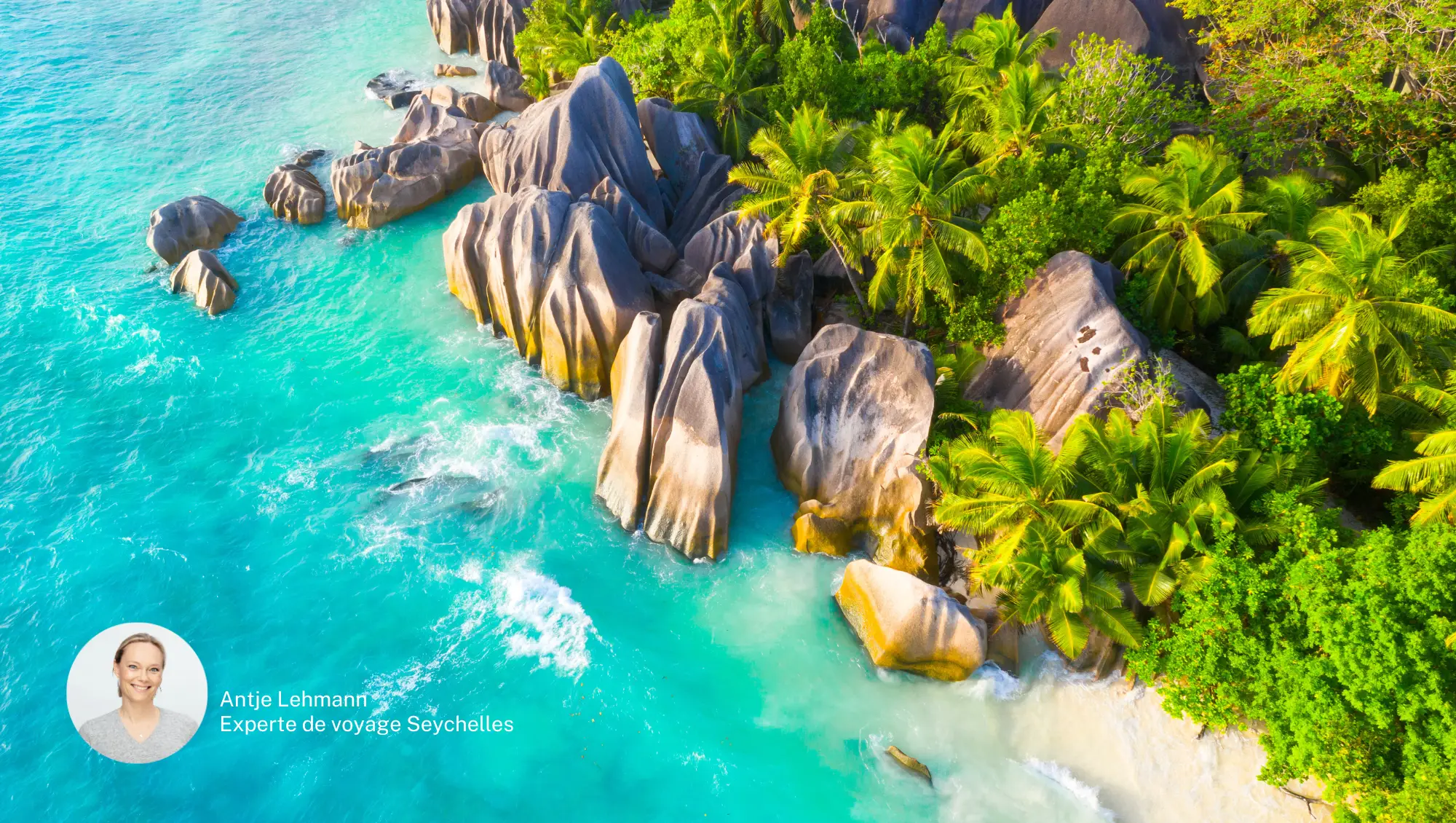 Seychelles, Antje Lehmann, experte de voyage Vue aérienne d'une plage entourée de végétation, Seychelles