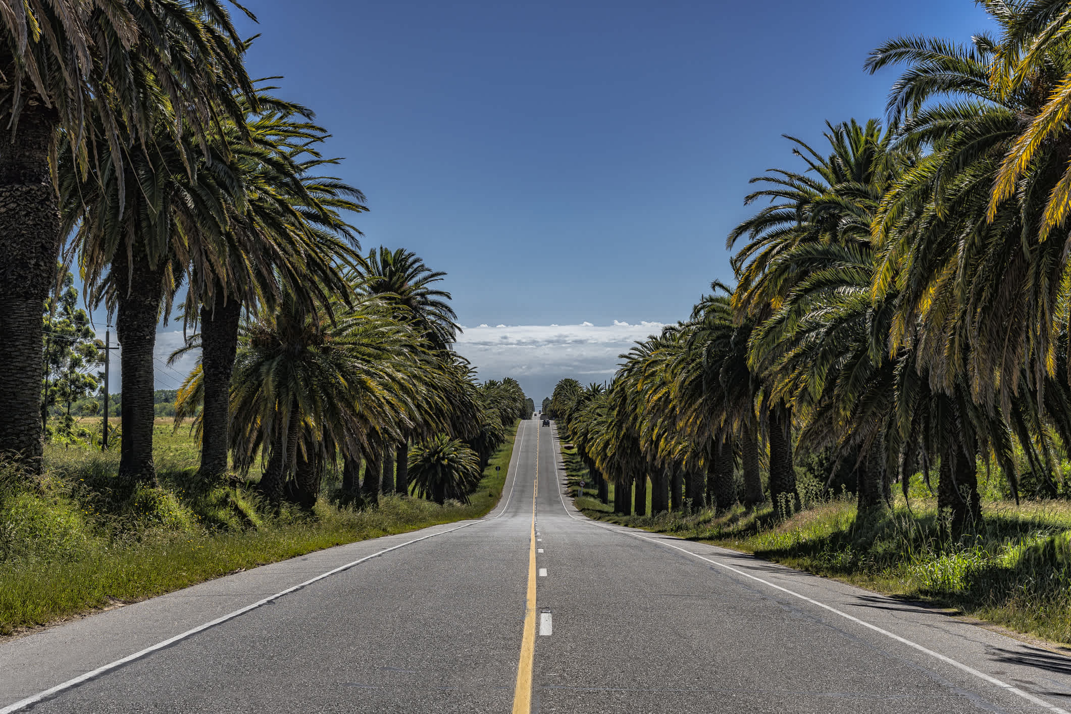 Der Autobahn mit Palmen in Uruguay

