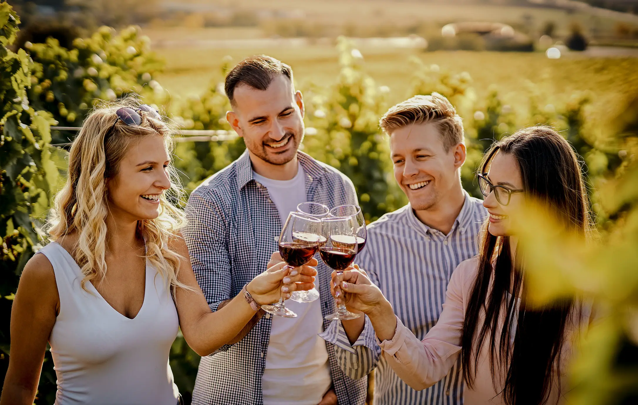 Rotweinverkostung Junge Freundebei der Rotweinverkostung im Weinberg.
