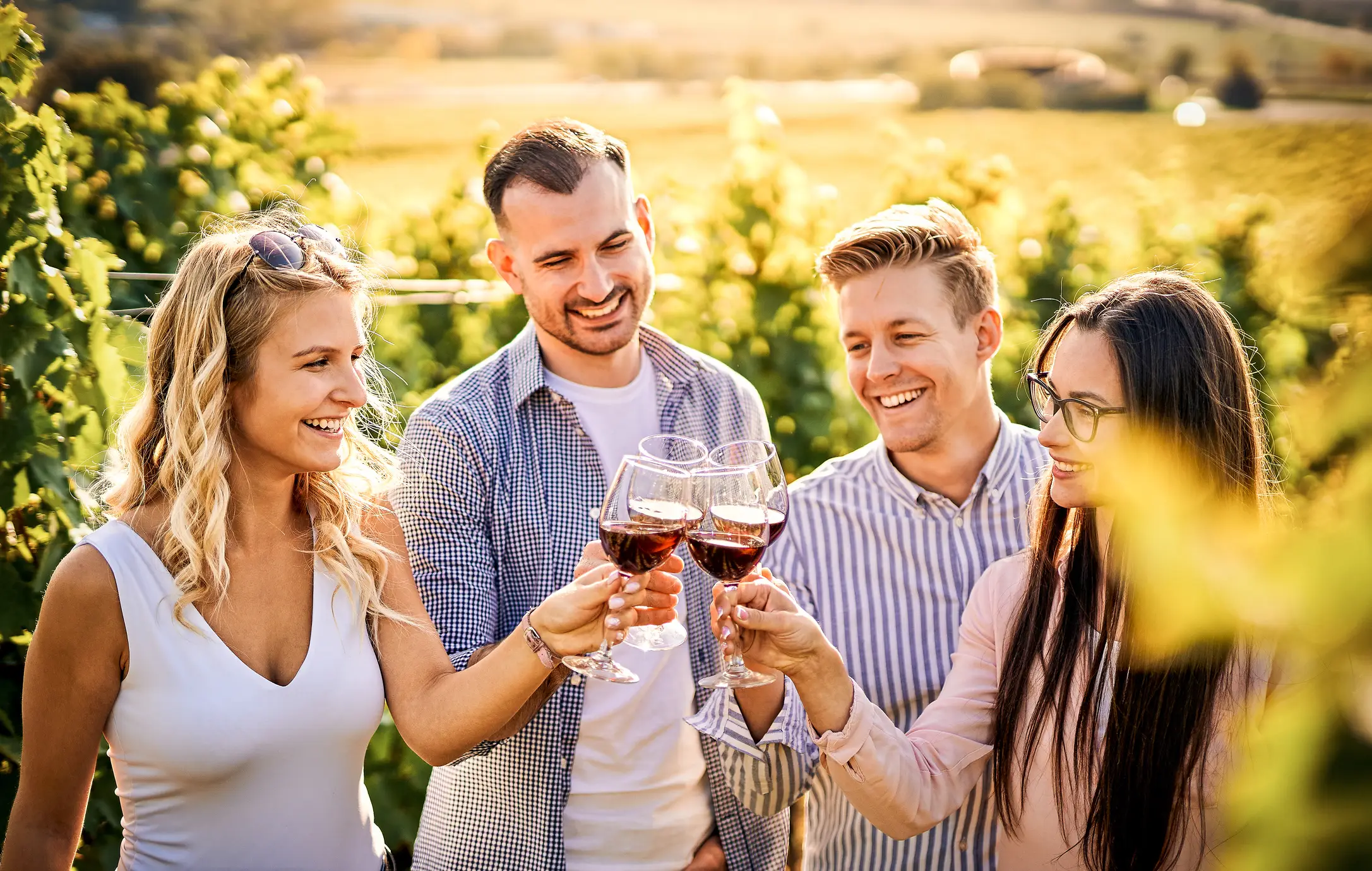 Jeunes amis dégustant du vin rouge dans les vignes.
