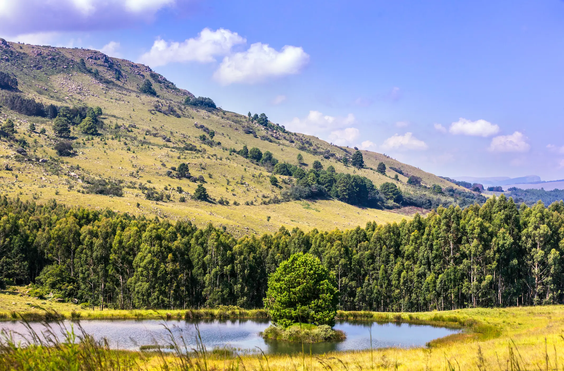 Ein kleiner Teich mit einem einzelnen Baum in der Mitte ist von grünem Gras und dichtem Wald umgeben und liegt am Fuße eines sanft abfallenden Berges unter einem teilweise bewölkten blauen Himmel.