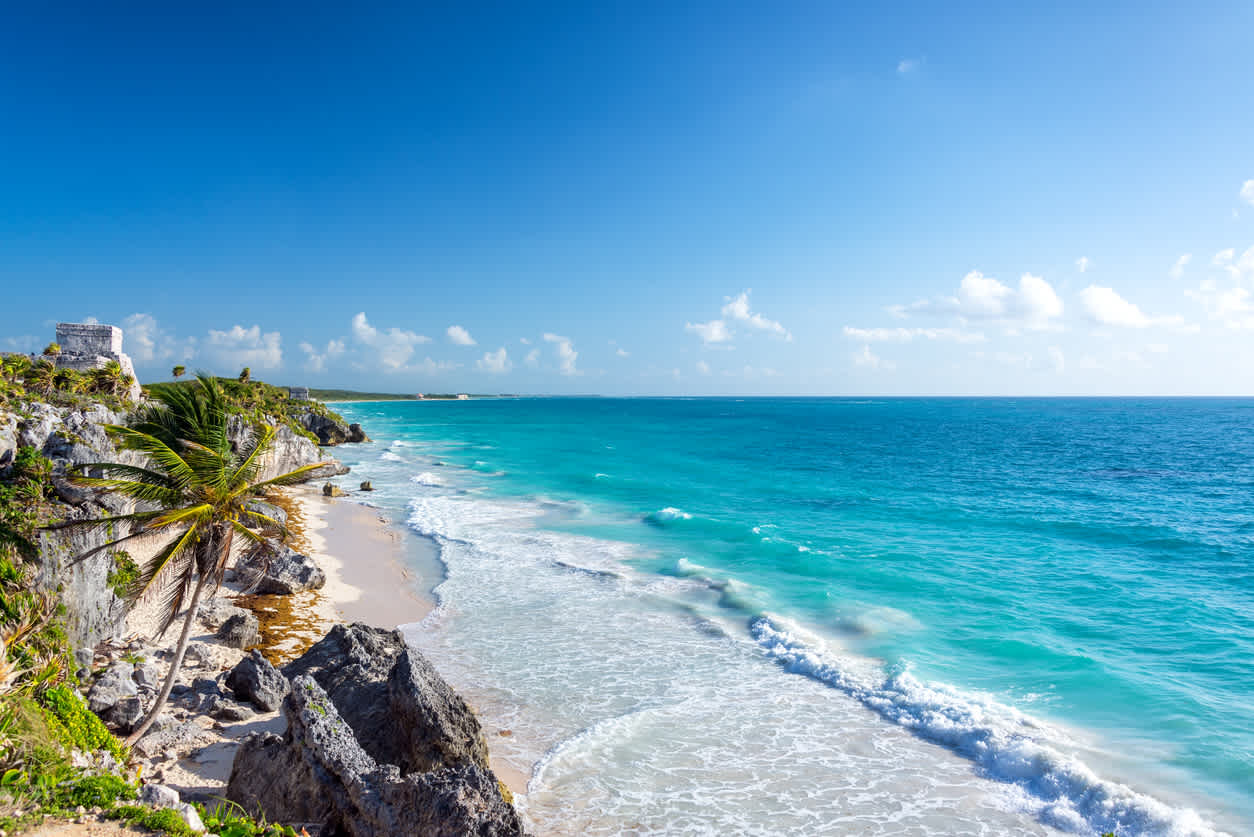 Plage de sable blanc, rochers et palmiers