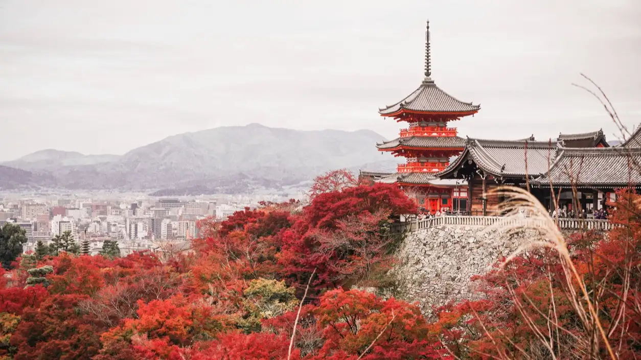 Vue paisible sur le Kiyomizu-dera, un temple bouddhiste entouré d'arbres aux couleurs automnales, Kyoto