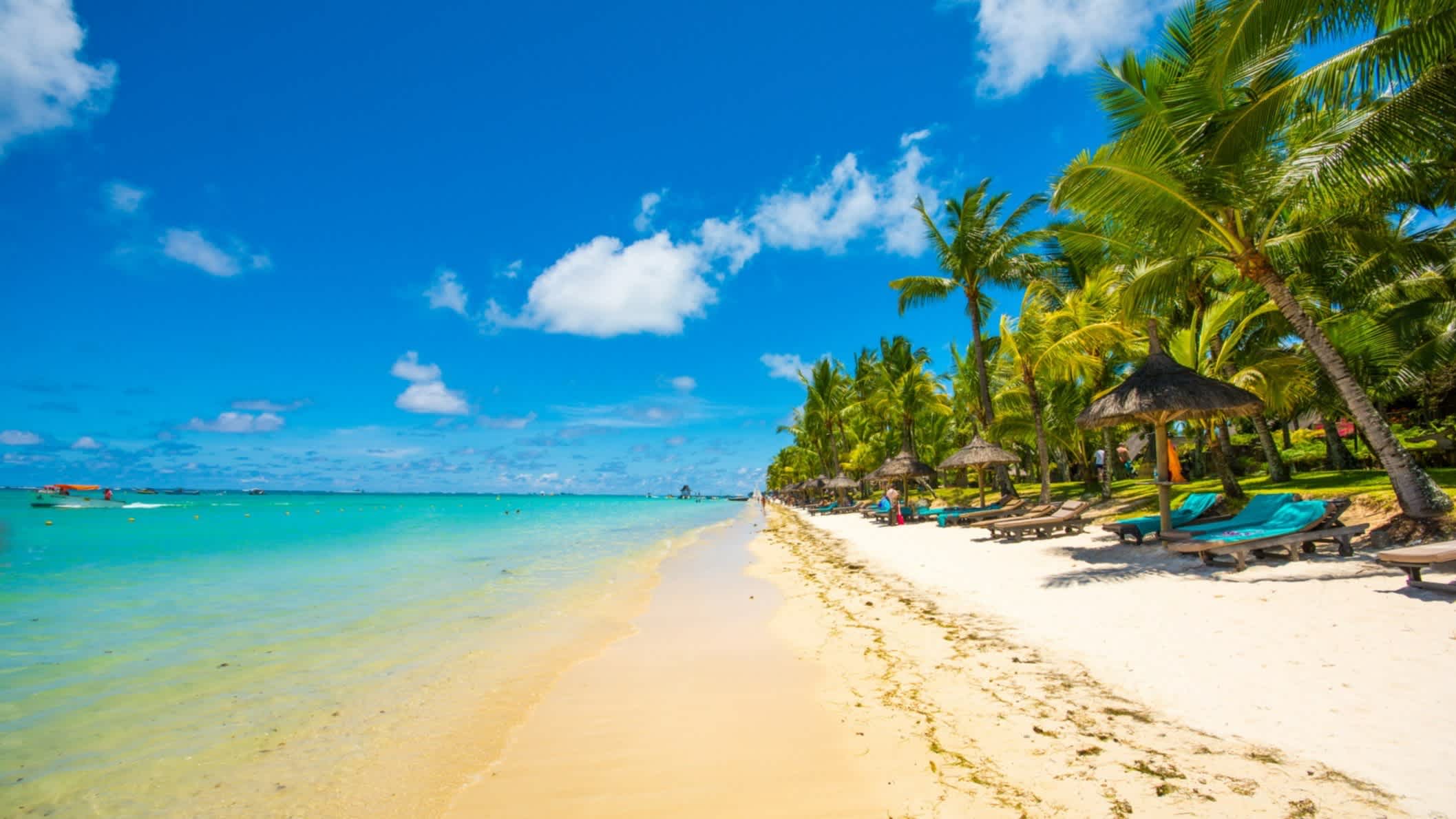 Langer Sandstrand Trou aux Biches, Nordwesten, Mauritius mit Palmen und Liegen.