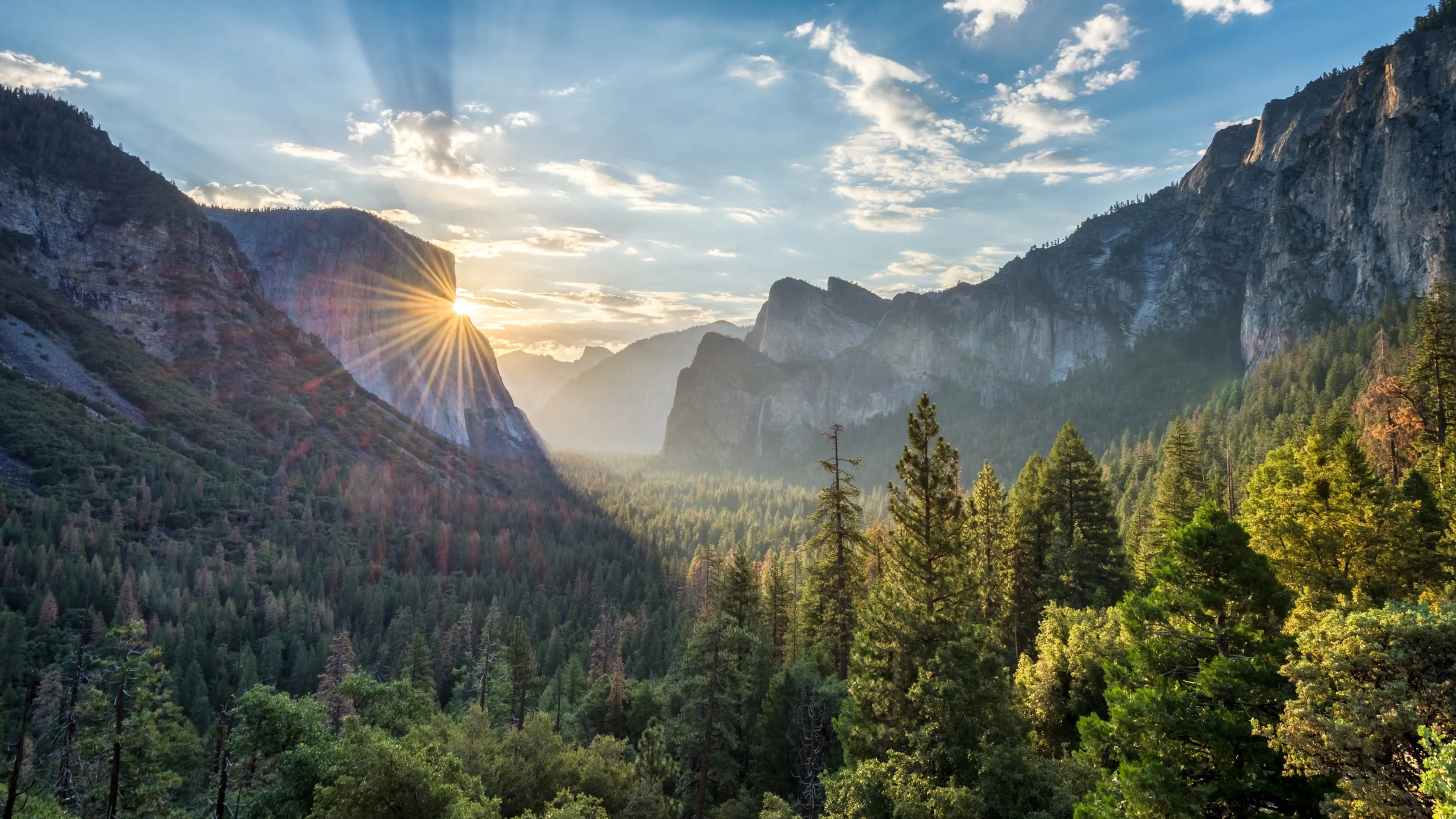 North America - USA - Yosemite Park