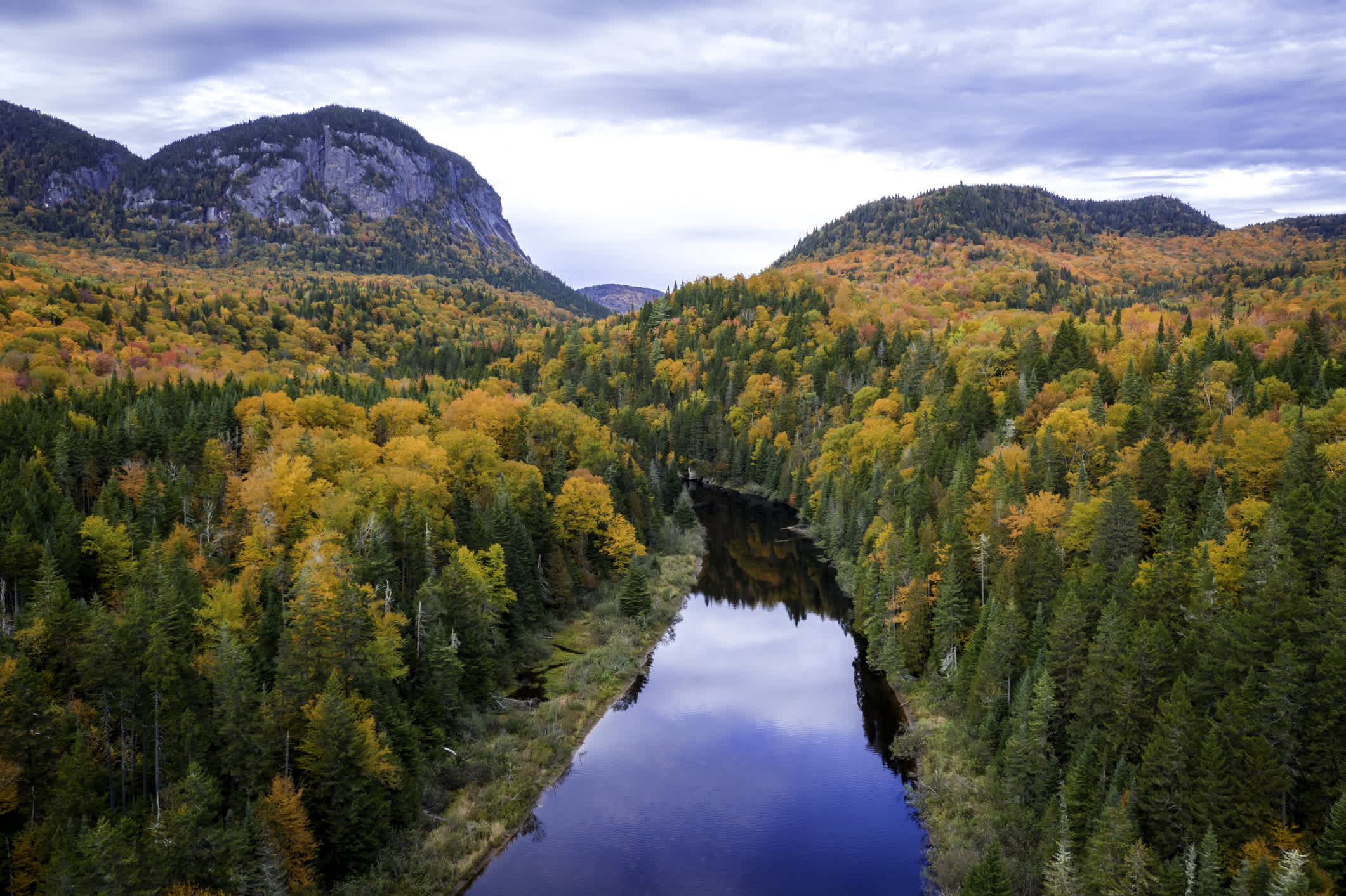 Luftaufnahme des borealen Wald Natur im Herbst Saison, Quebec, Kanada