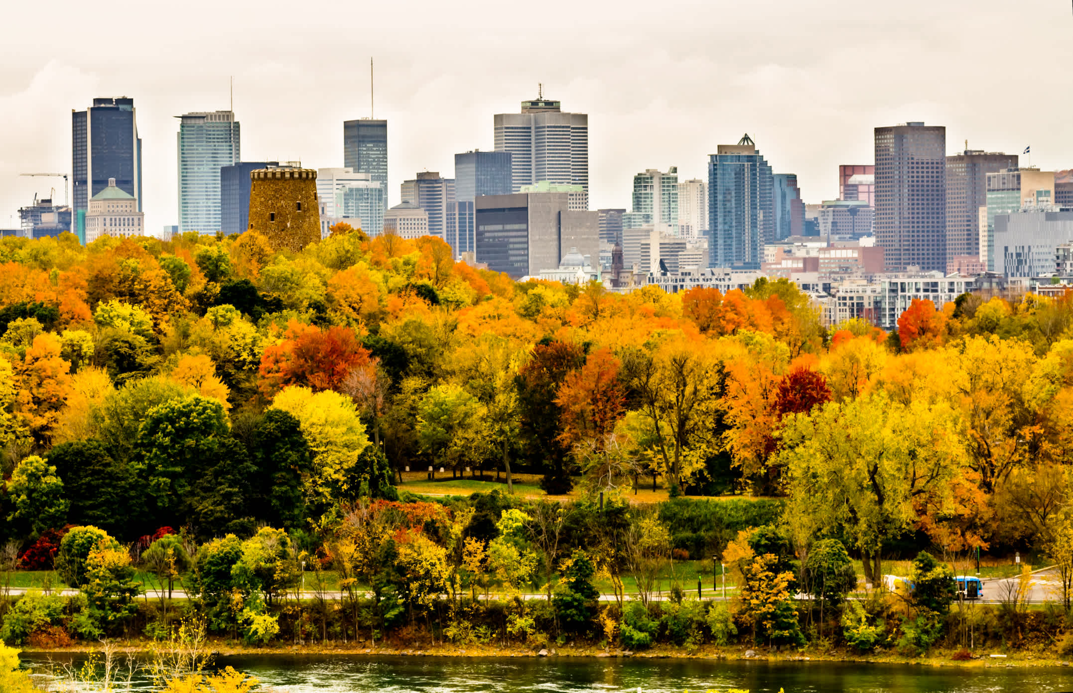 Vue sur un parc de Montréal aux couleurs de l'automne