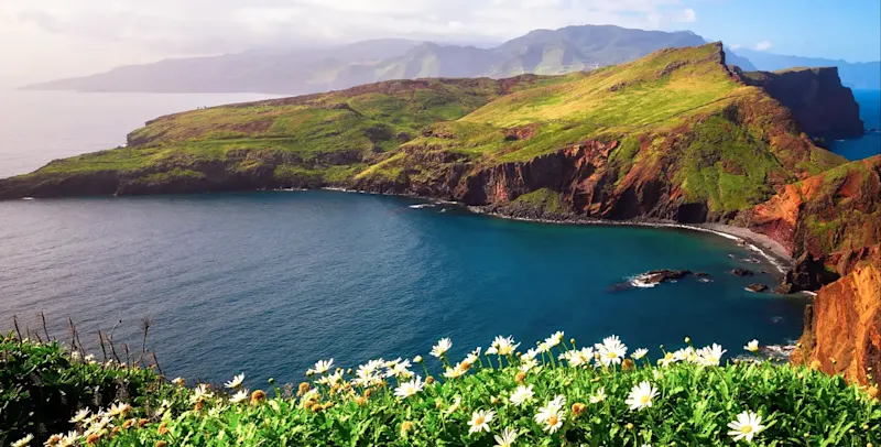 Portugal, Madeira, Funchal Küstenlandschaft mit Blumen und Klippen. Funchal, Madeira, Portugal.
