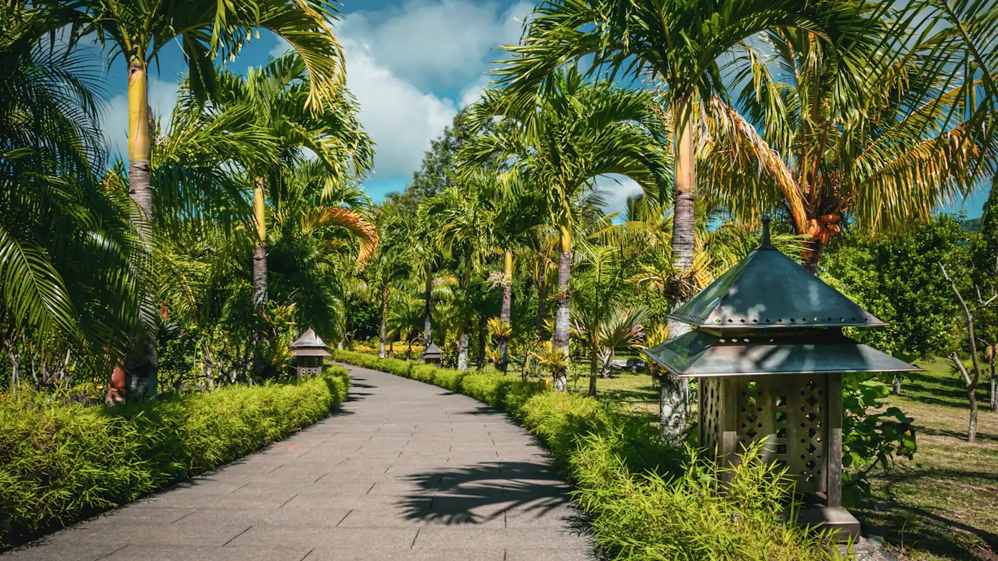 Mauritius, Wilhems, Plaines Tropischer Gartenweg mit Palmen, Curepipe, Plaines Wilhems, Mauritius.