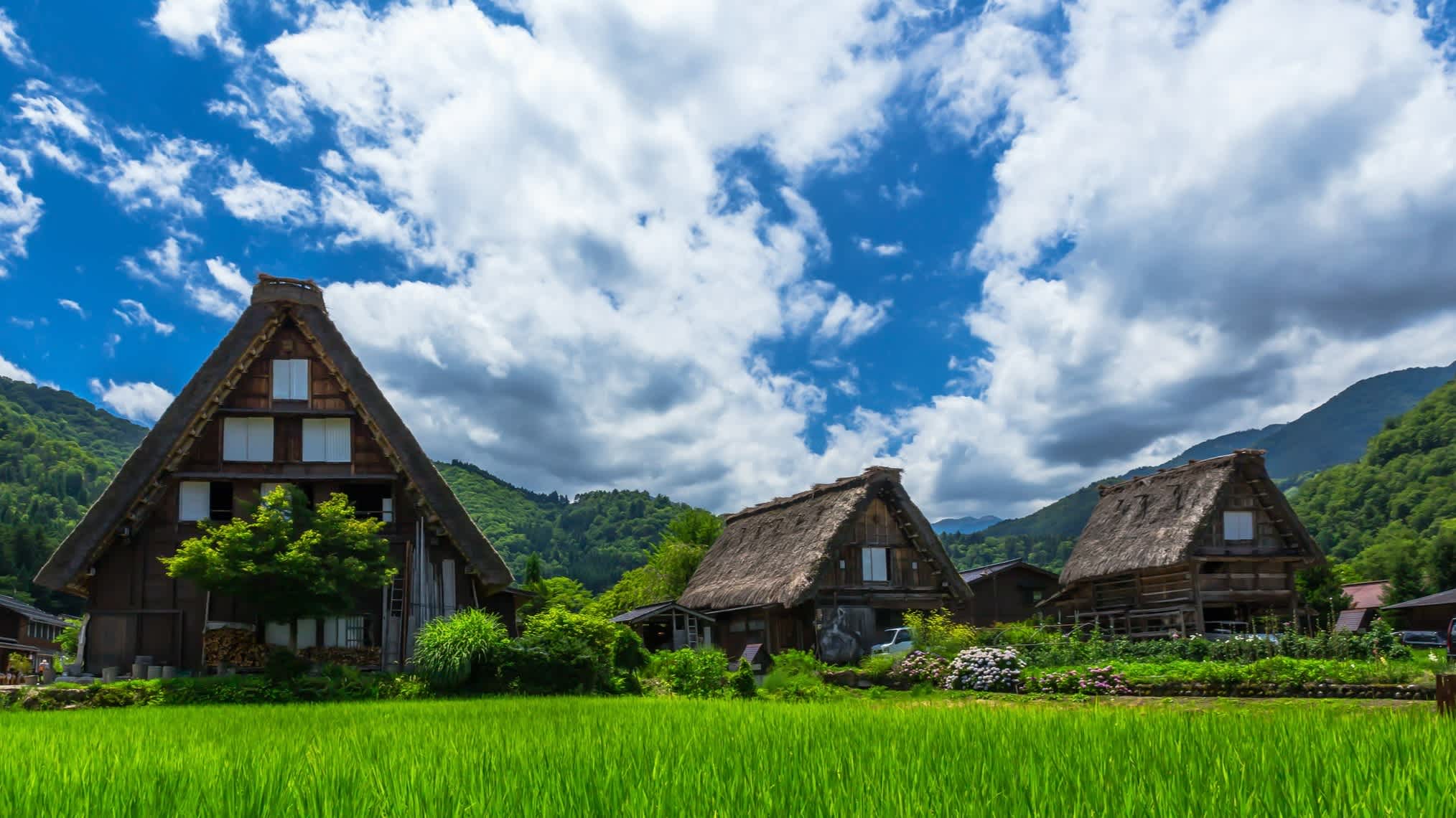 Village japonais historique de Shirakawago au printemps.