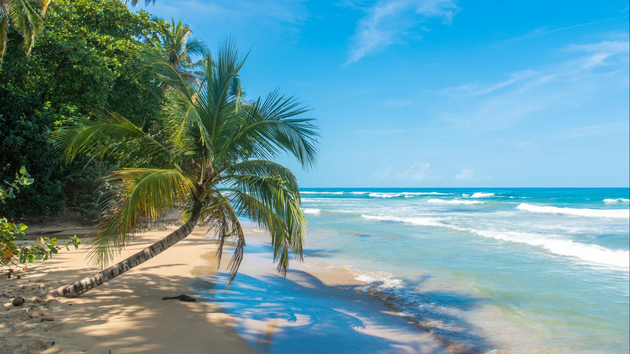 Plage de Playa Chiquita près de Puerto Viejo, Costa Rica.