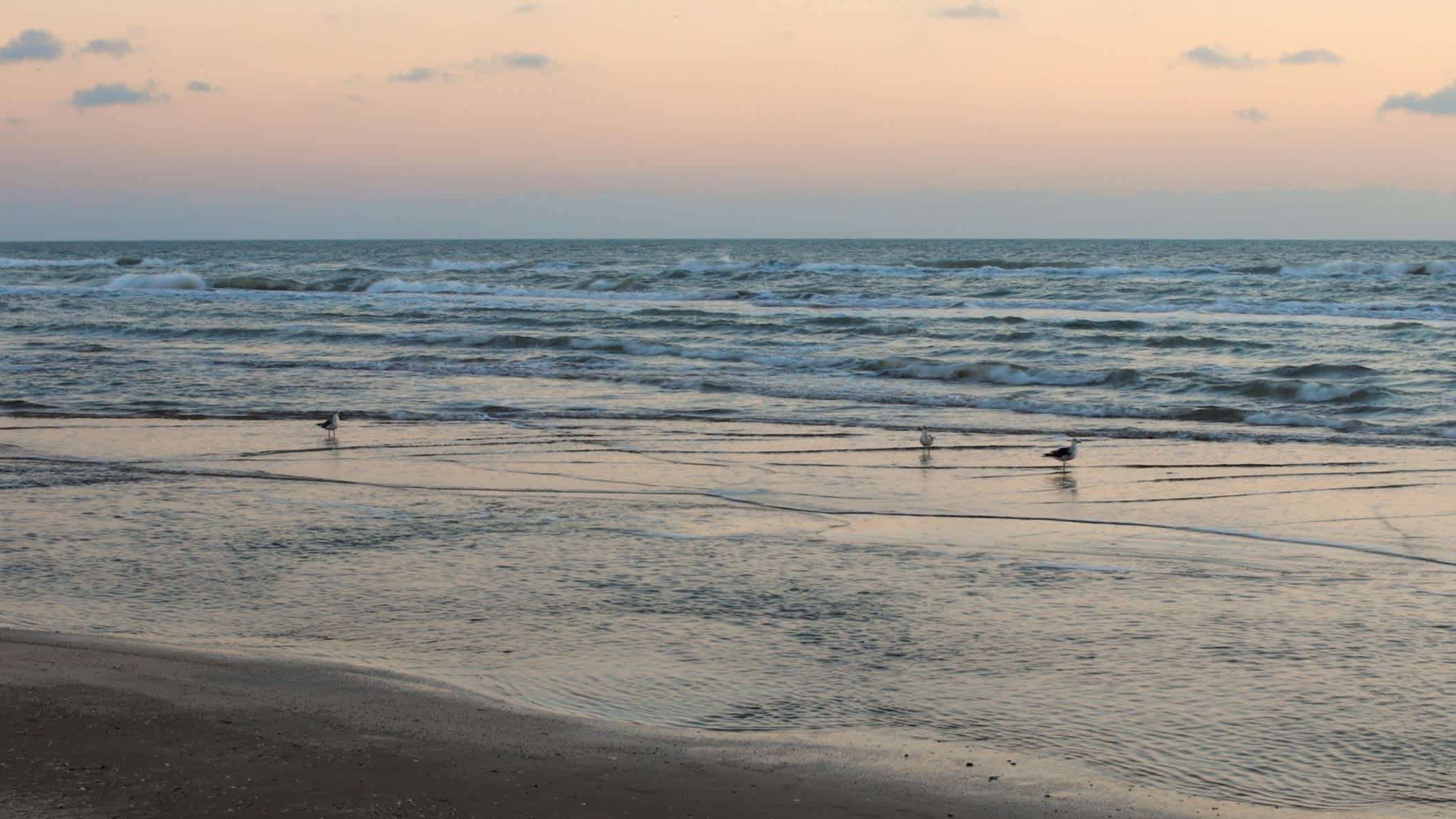 Der Strand Galveston Island East Beach, Texas, USA bei Sonnendämmerung.