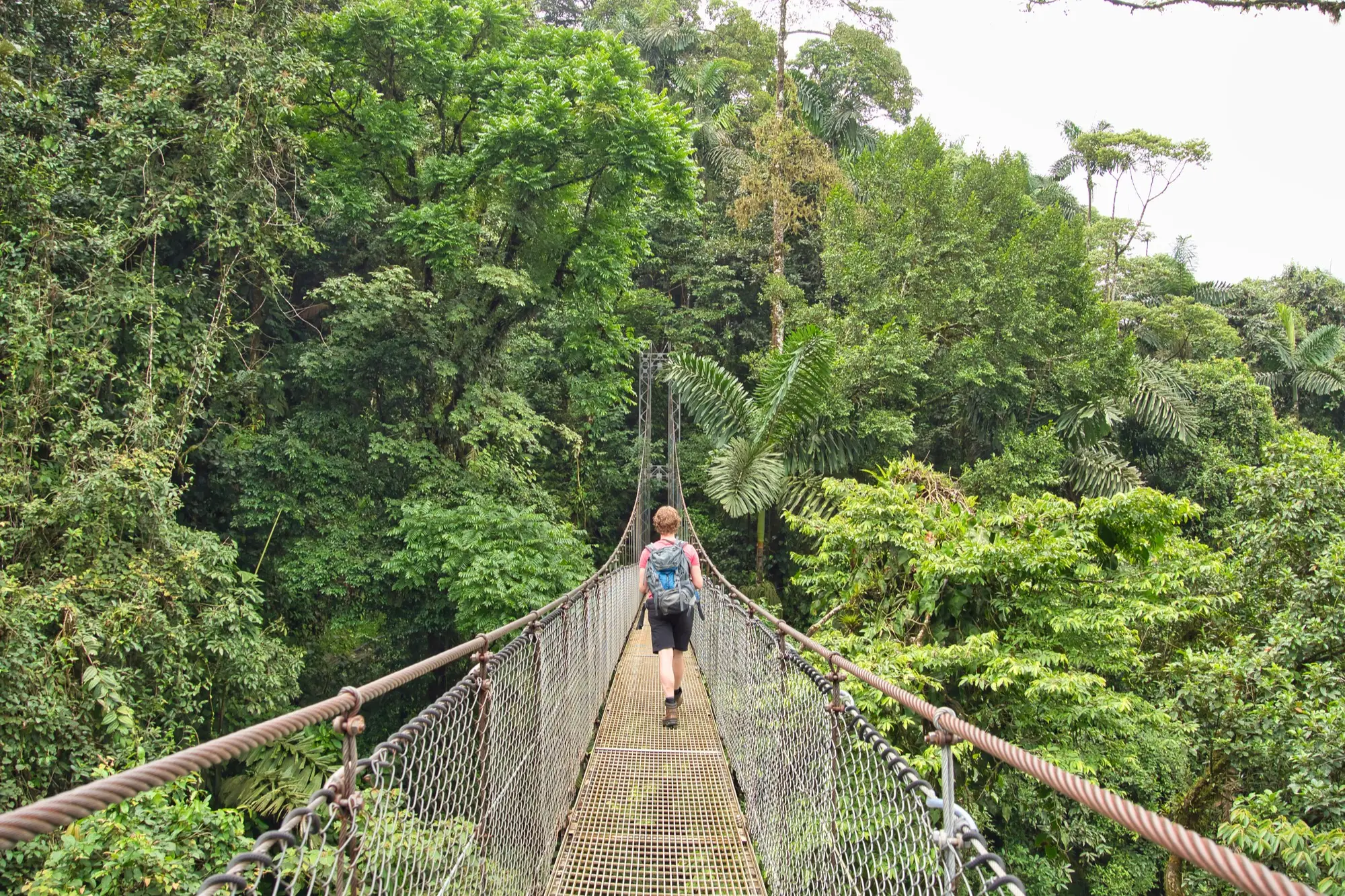 Costa Rica, Canopy-Tour Ein junger Mann läuft über eine der Hängebrücken in der Nähe des Vulkans Arenal, Costa Rica.