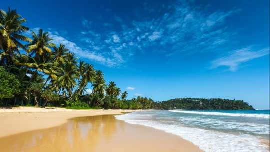  Paradiesischer idyllischer Strand in Sri Lanka