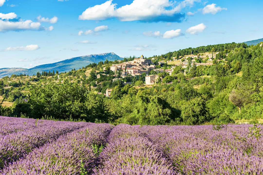 Lavendelfeld vor einem malerischen Bergdorf in der Provence mit grünen Hügeln und blauem Himmel mit weißen Wolken.