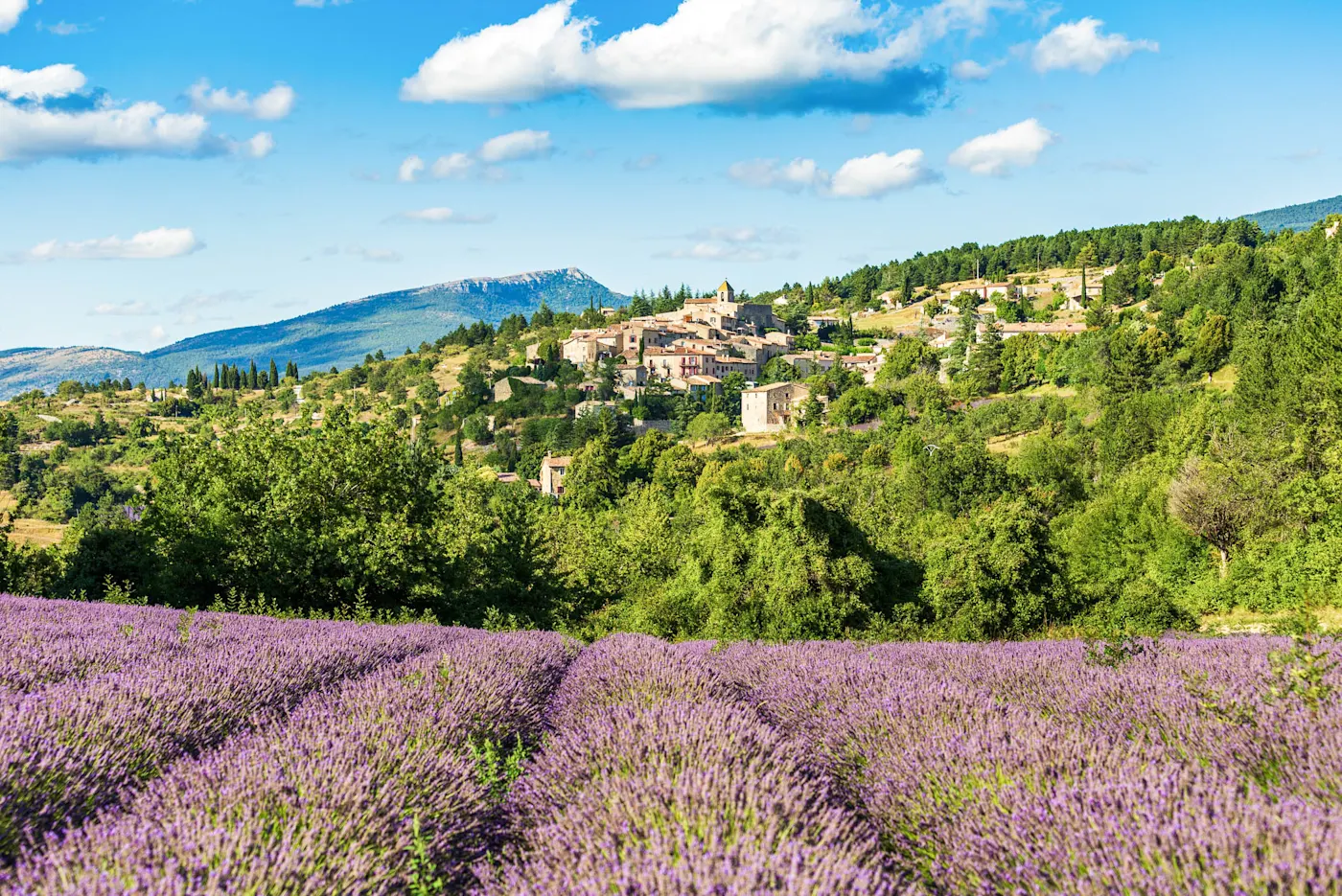 Lavender fields in foreground with hillside village and mountains in Provence, France under bright blue sky with clouds.