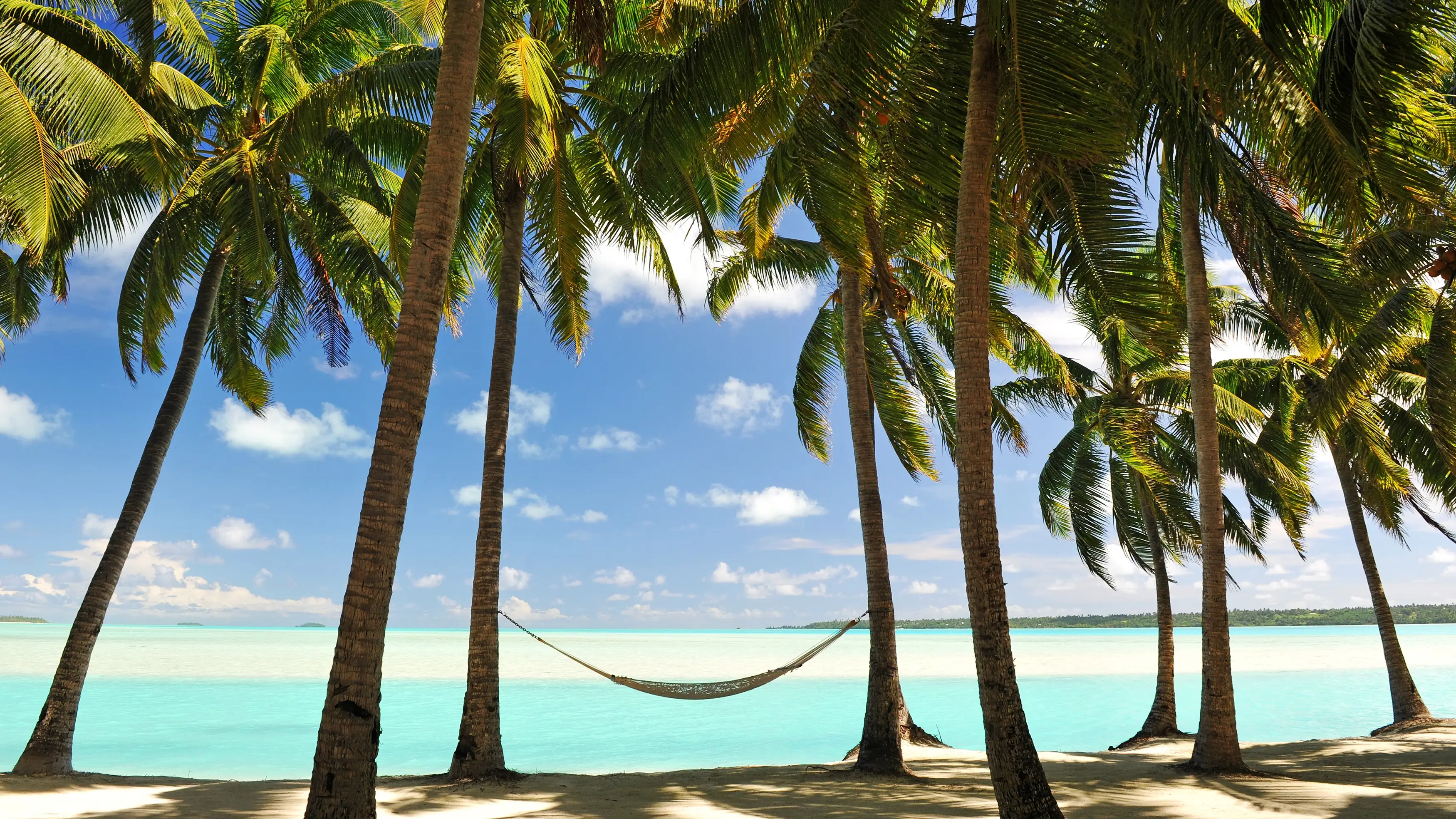 Hängematte zwischen vielen Palmen am Strand von Mauritius