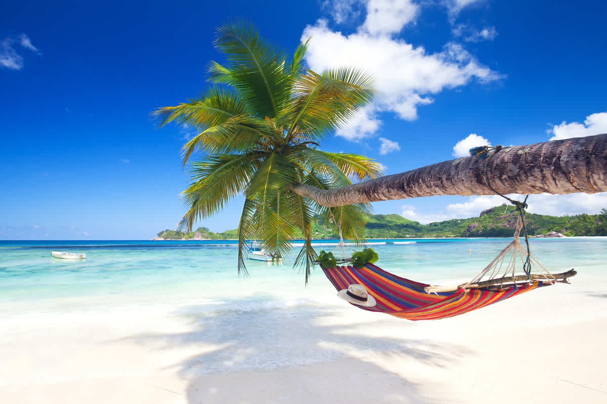 Hamac coloré accroché à un palmier sur la Plage d’Anse Intendance située sur l'île de Mahé sur laquelle vous pourrez vous détendre pendant votre voyage aux Seychelles.