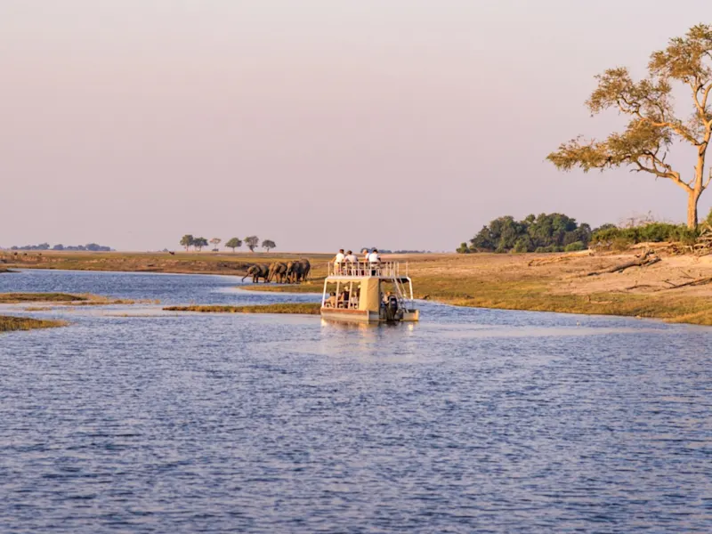 Bande de Caprivi, Namibie La bande de Caprivi en Namibie est connue pour sa végétation luxuriante, la diversité de sa faune et les rivières qui la traversent, ce qui en fait une destination unique au cœur de l'Afrique australe.