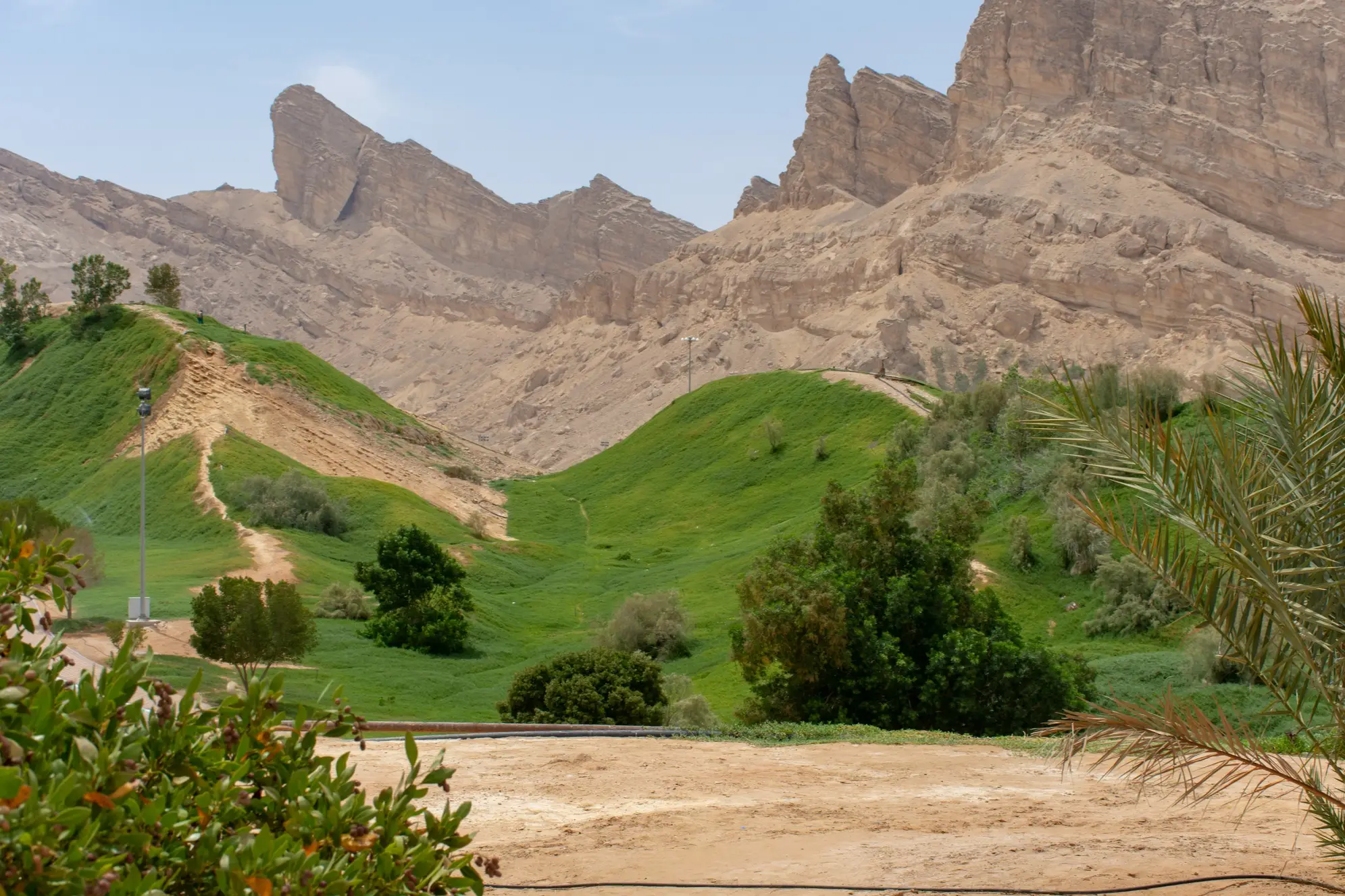 VAE, Al Ain, Green Mubazzarah Park Park mit grüner Wiese und Pflanzen und Bergen im Hintergrund