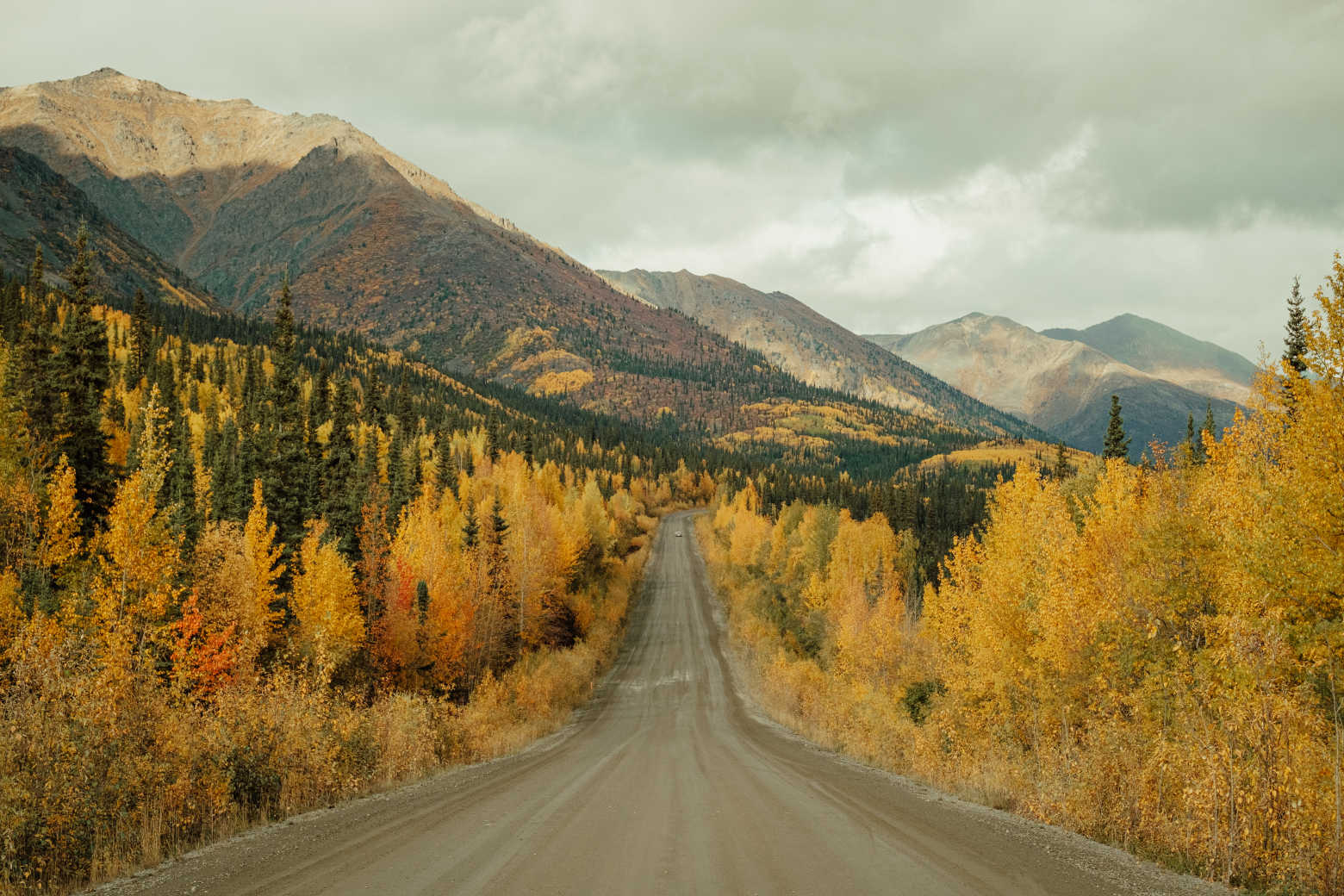 Route de Dempster, Yukon, Canada (Office du tourisme de Destination Canada)