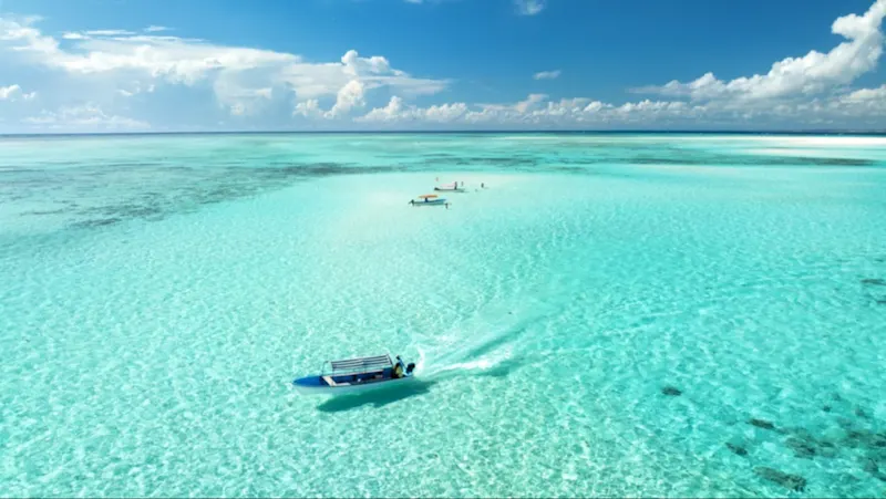 Vue aérienne de bateaux colorés sur une eau limpide et azurée en été. Île de Mnemba, Zanzibar.