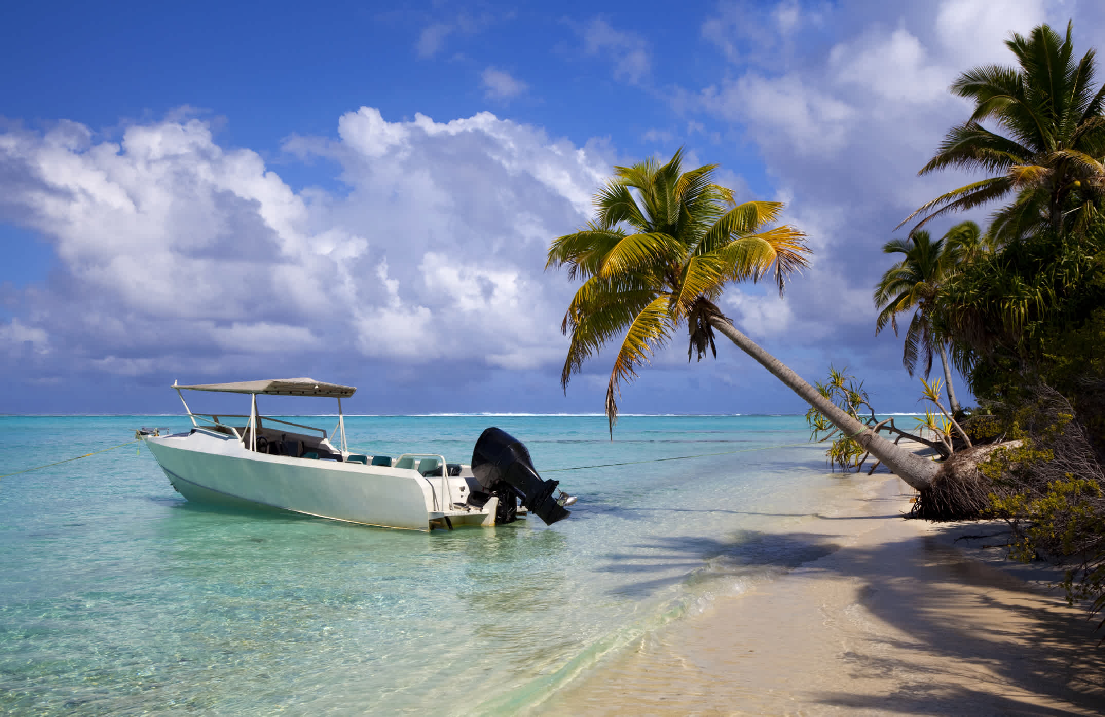 Schnellboot, Paradise & Palm