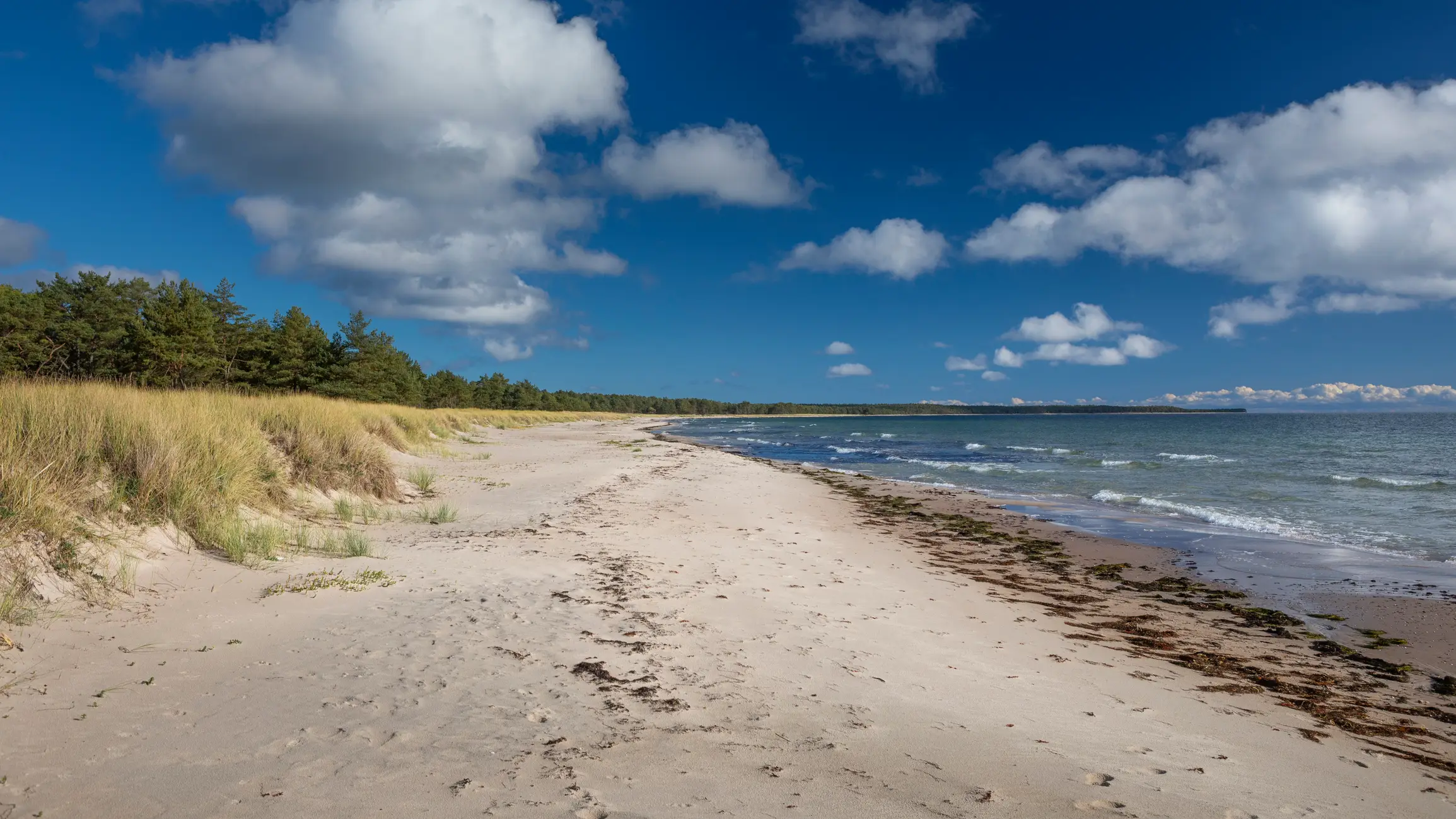 Böda Sand, Öland Böda Sand, Öland