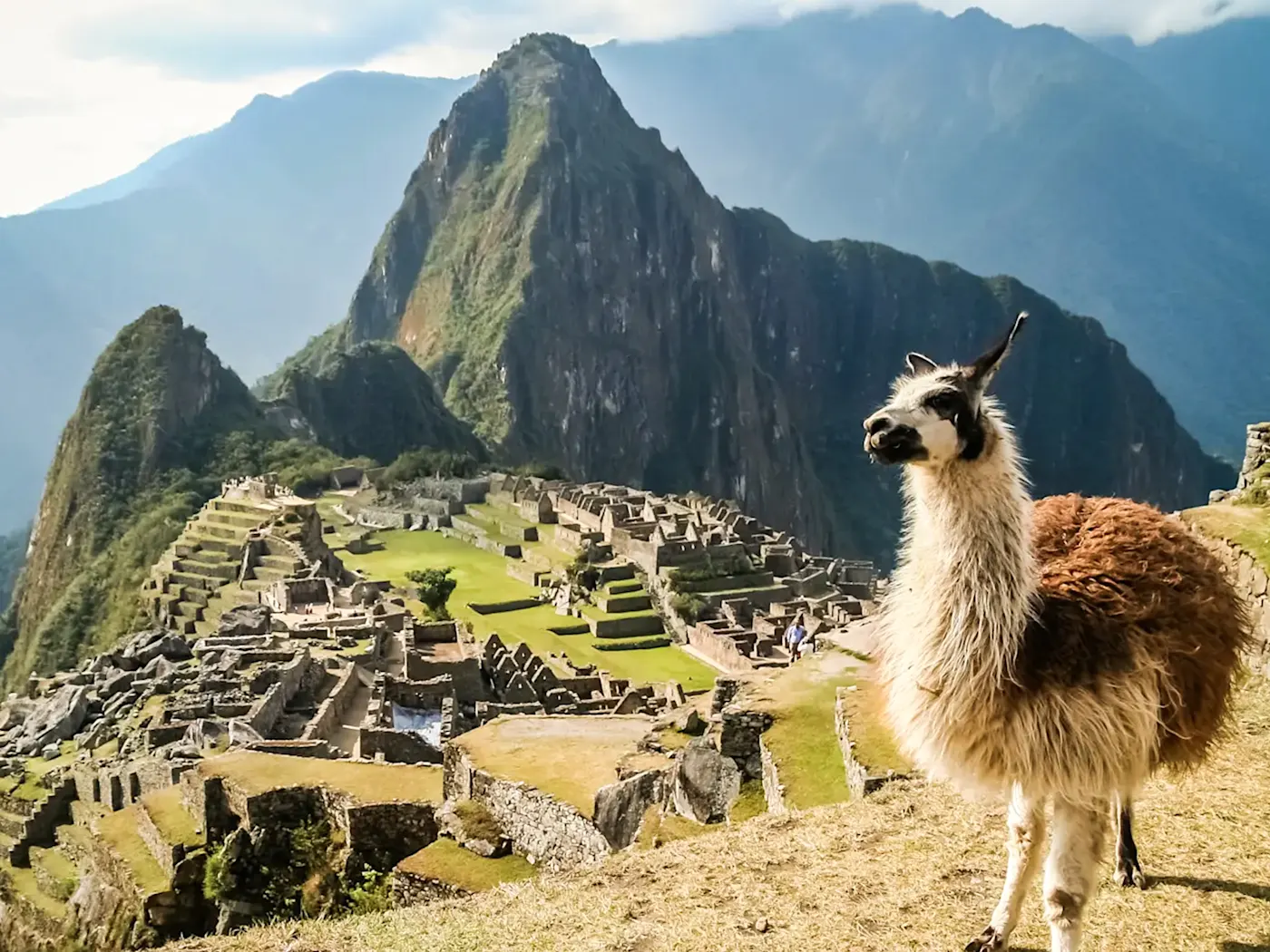 Peru, Cusco, Machu Picchu Majestätische Inka-Ruinen und eine Lama vor der atemberaubenden Kulisse von Machu Picchu, Cusco, Peru.