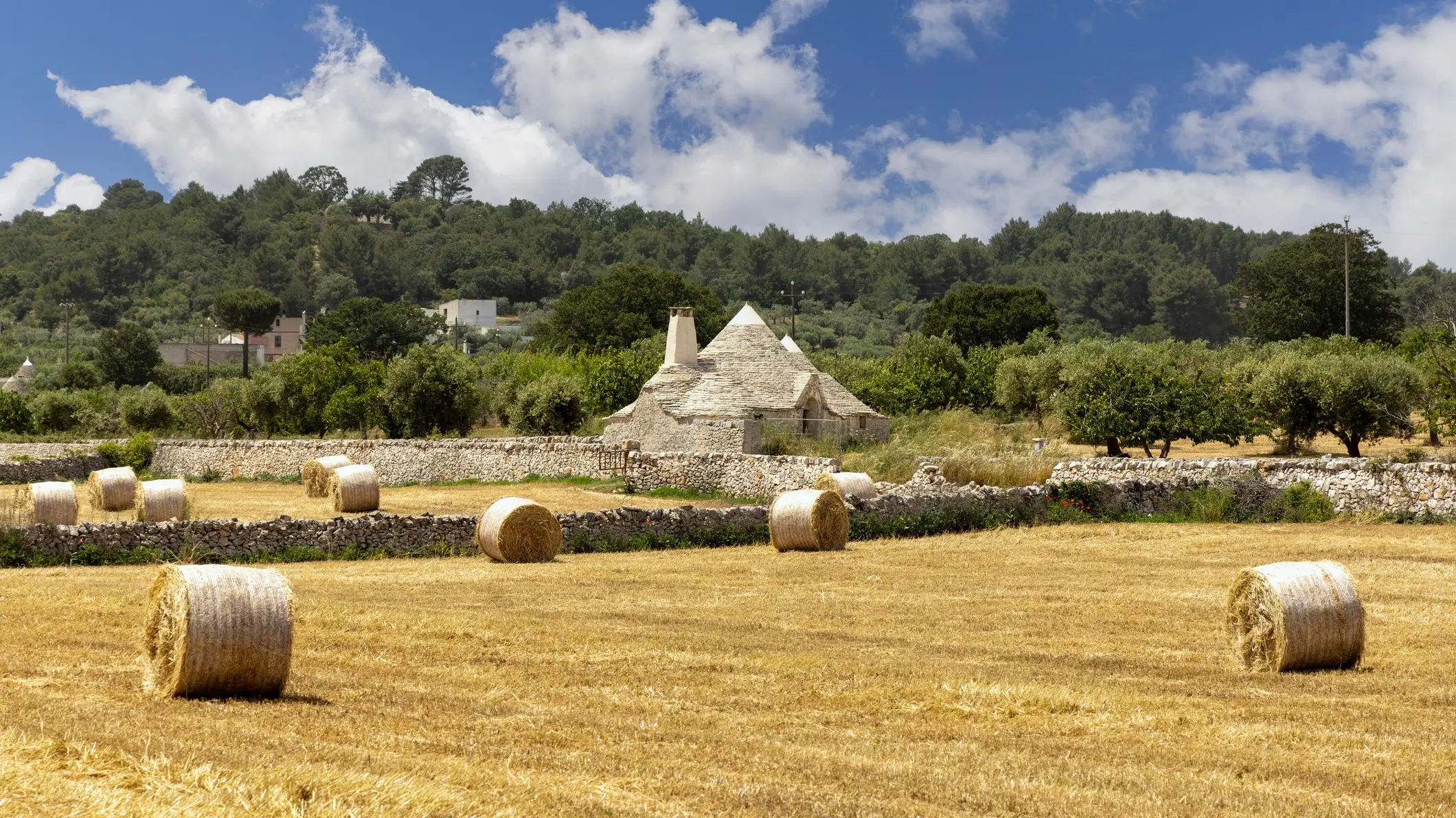 Valle d'Itria, Pouilles, Italie Photo d'un pont dans la Valle d'Itria, dans les Pouilles, en Italie.