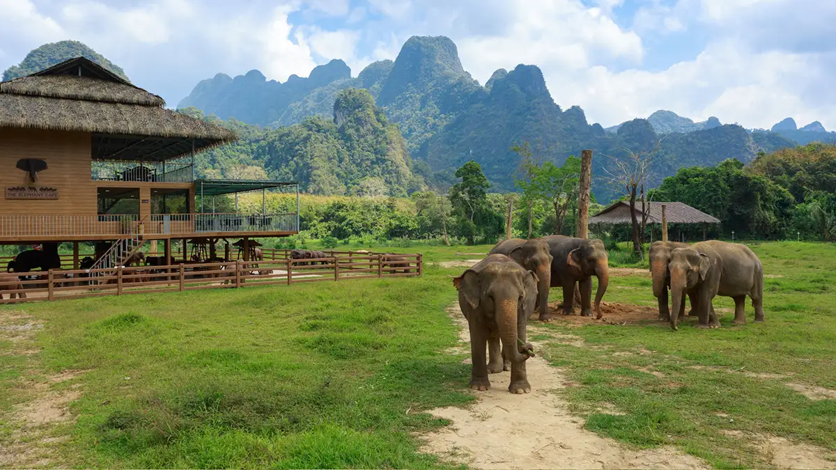 Elephant Hills Luxury Tented Camp Elephant Hills Luxury Tented Camp, Khao Sok Nationalpark, Thailand