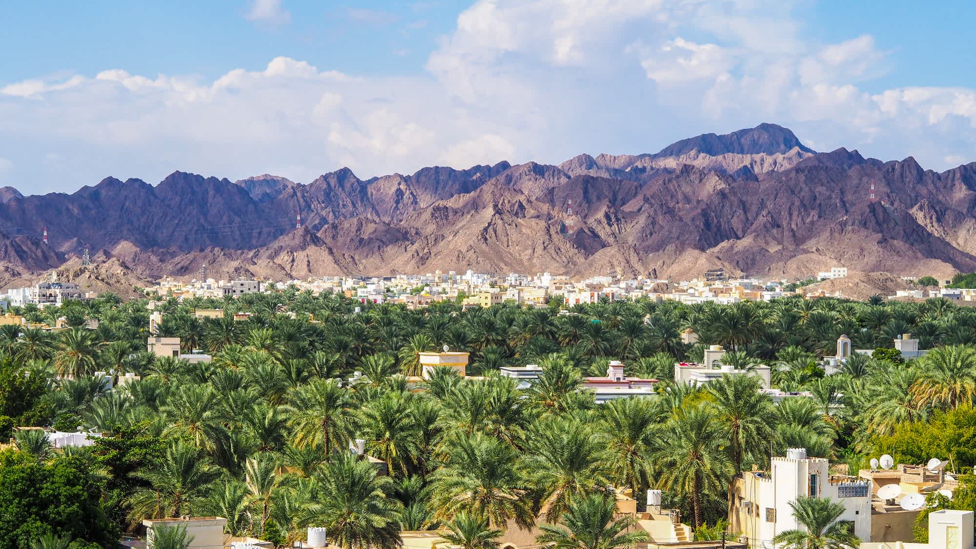 Blick auf Nizwa Palm Grove, Oman.