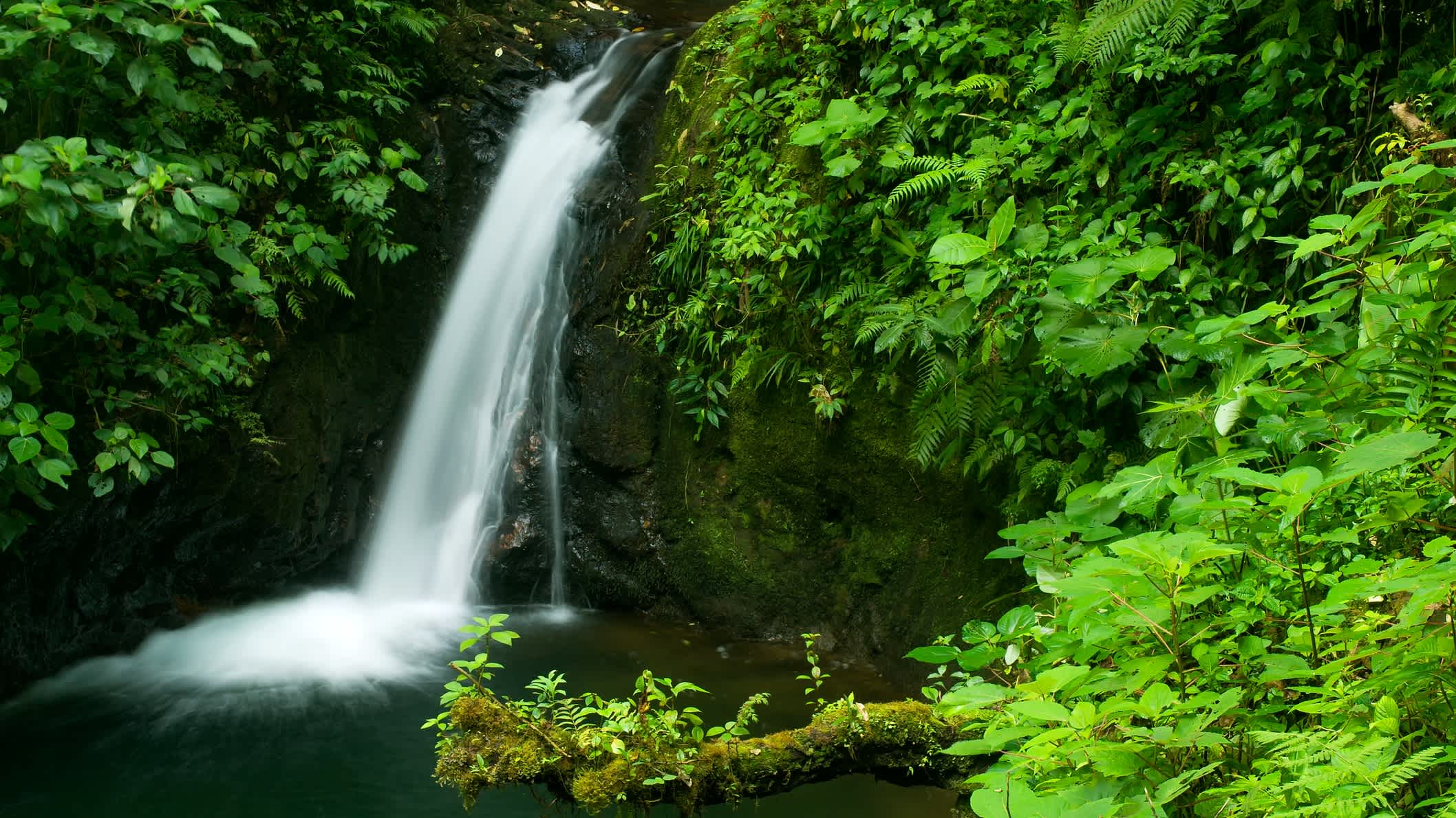 Wasserfall in Reserva Biological Monteverde, Costa Rica, Mittelamerika