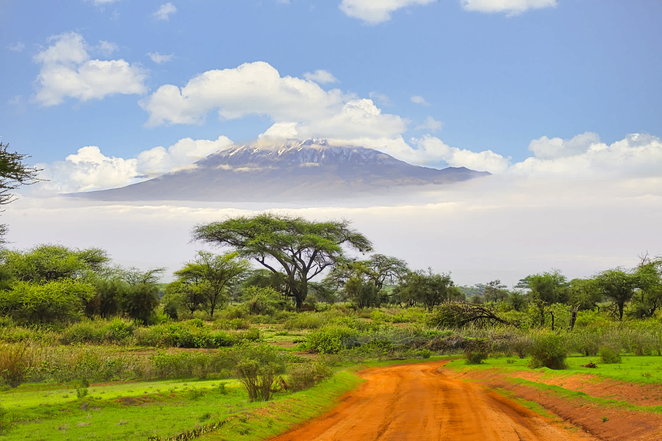 Photos du Kilimandjaro enneigé en Tanzanie