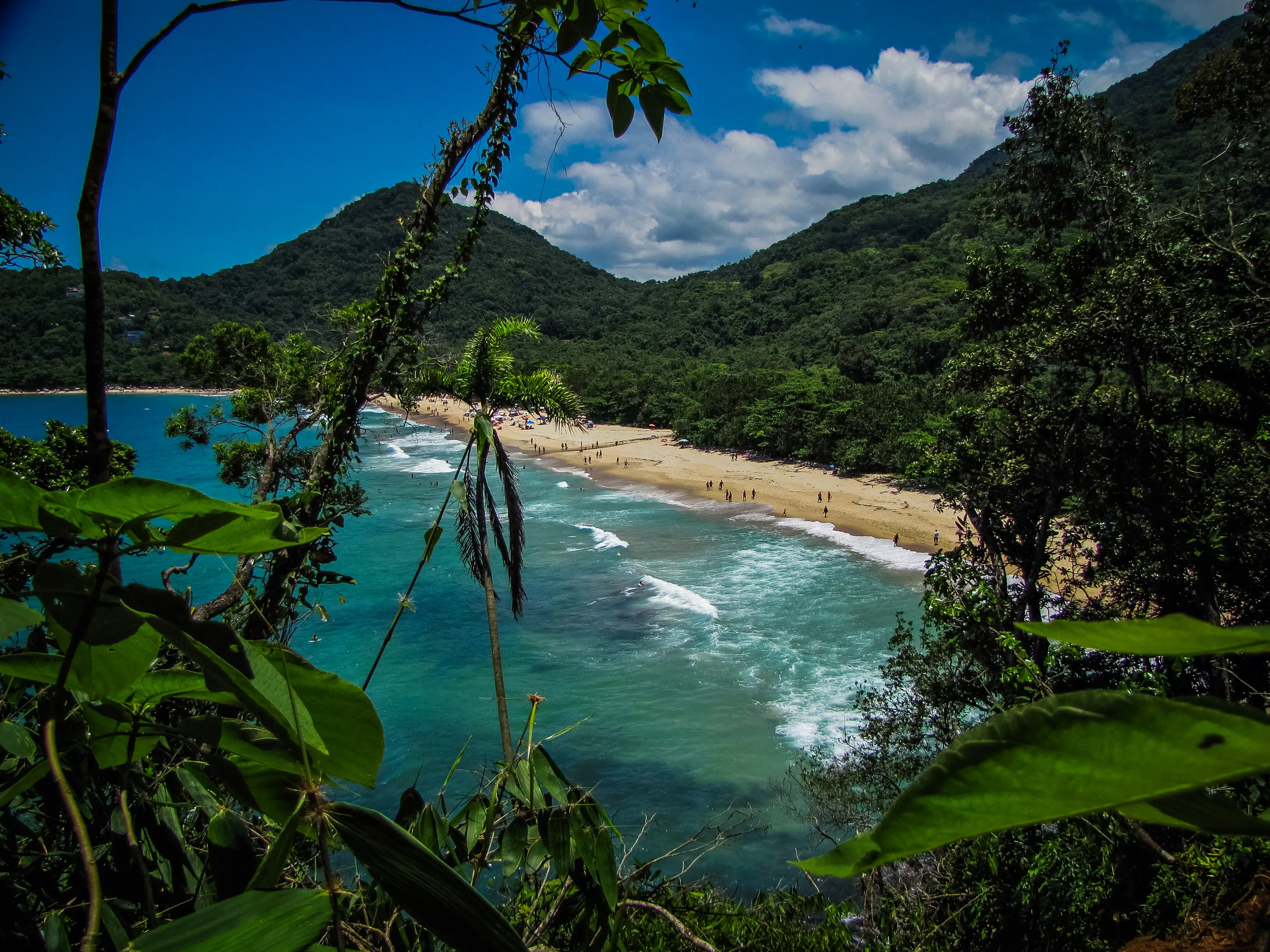 Ubatuba Strand umgeben von tropischer Vegetation