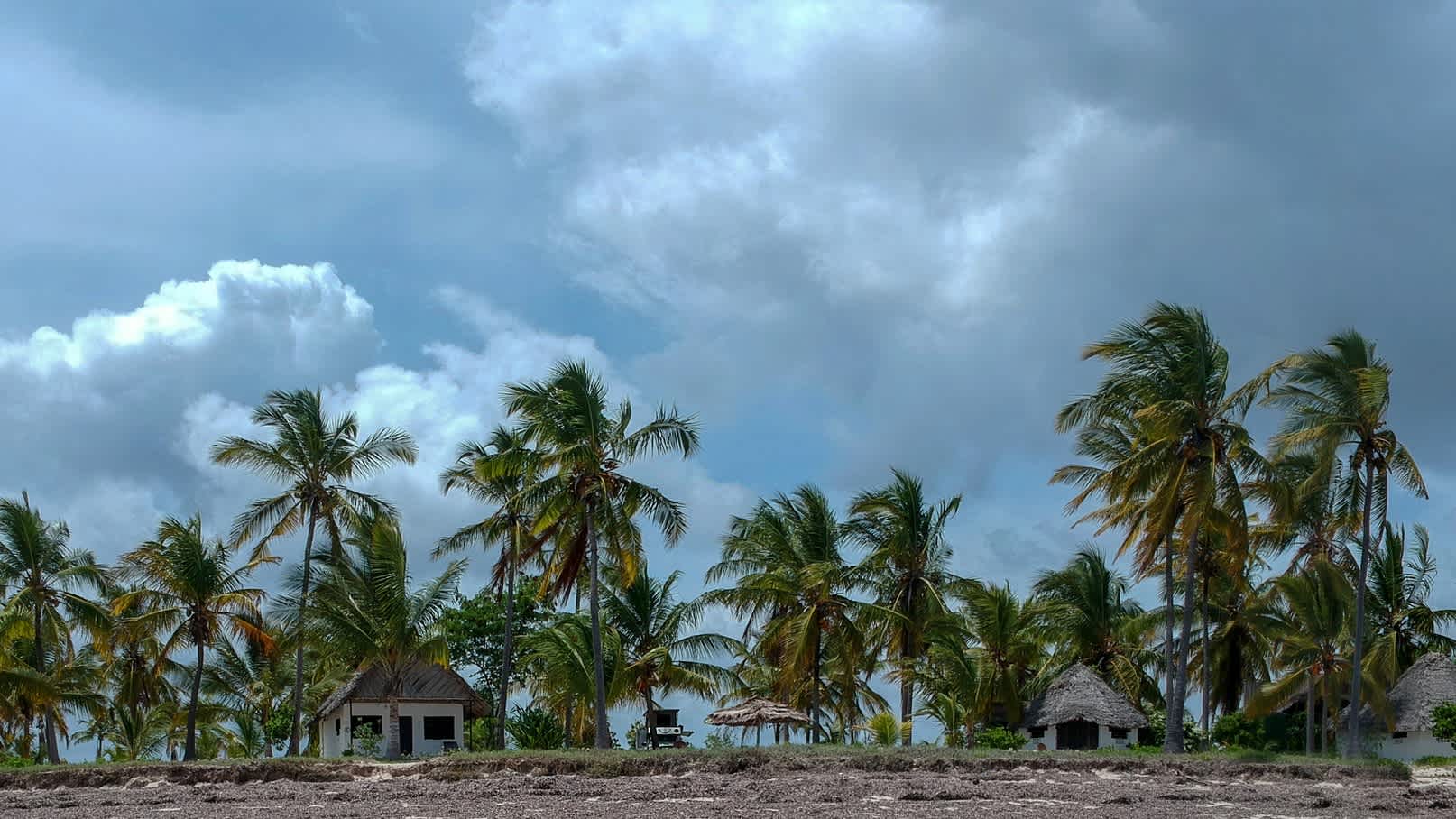 Strand mit Hütten und Palmen an der Küste von Kilwa in Tansania. 