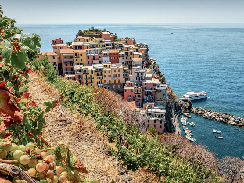 Italy, Liguria, Cinque Terre Colorful houses on a cliff, vineyards in the foreground and the sea.Manarola, Cinque Terre, Liguria, Italy