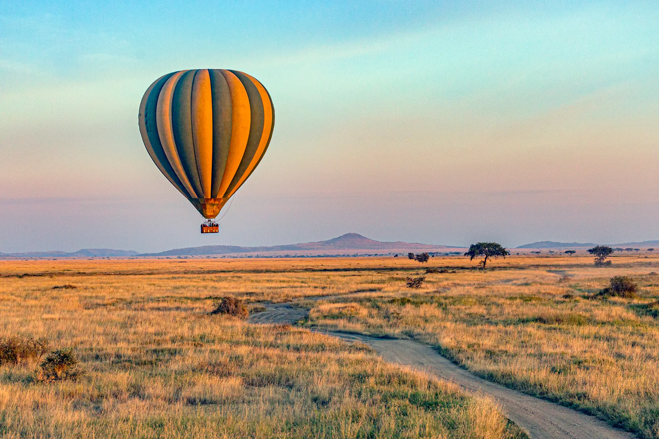 Parc national du Serengeti, montgolfière Montgolfière au-dessus d'une savane au lever du soleil, avec des montagnes à l'horizon et un chemin de terre en contrebas.