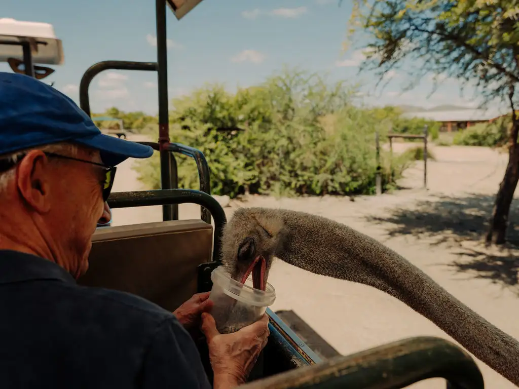 250211 julianimke southafrica strausstour 004