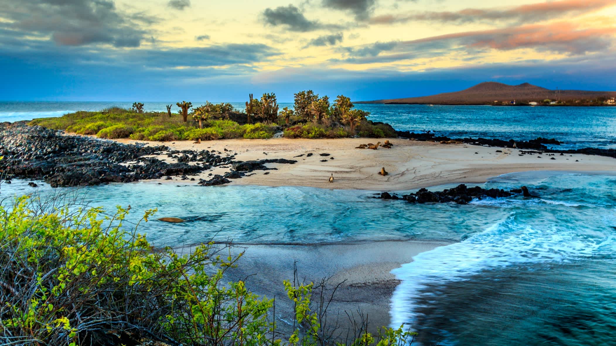 La vue sur la mer aux Galapagos au coucher du soleil.