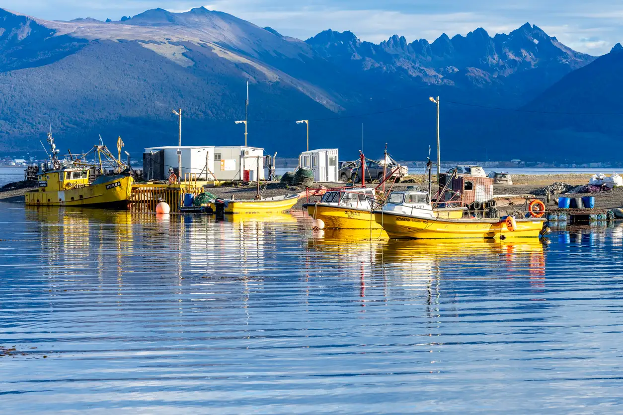Bateaux de pêche à Puerto Almanza