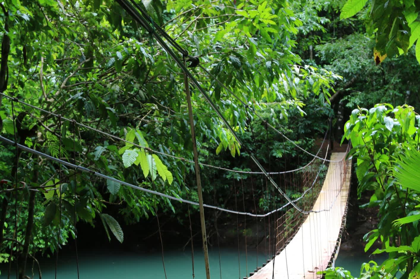 Hängebrücke im Nebelwald Monteverdes über einem Fluss