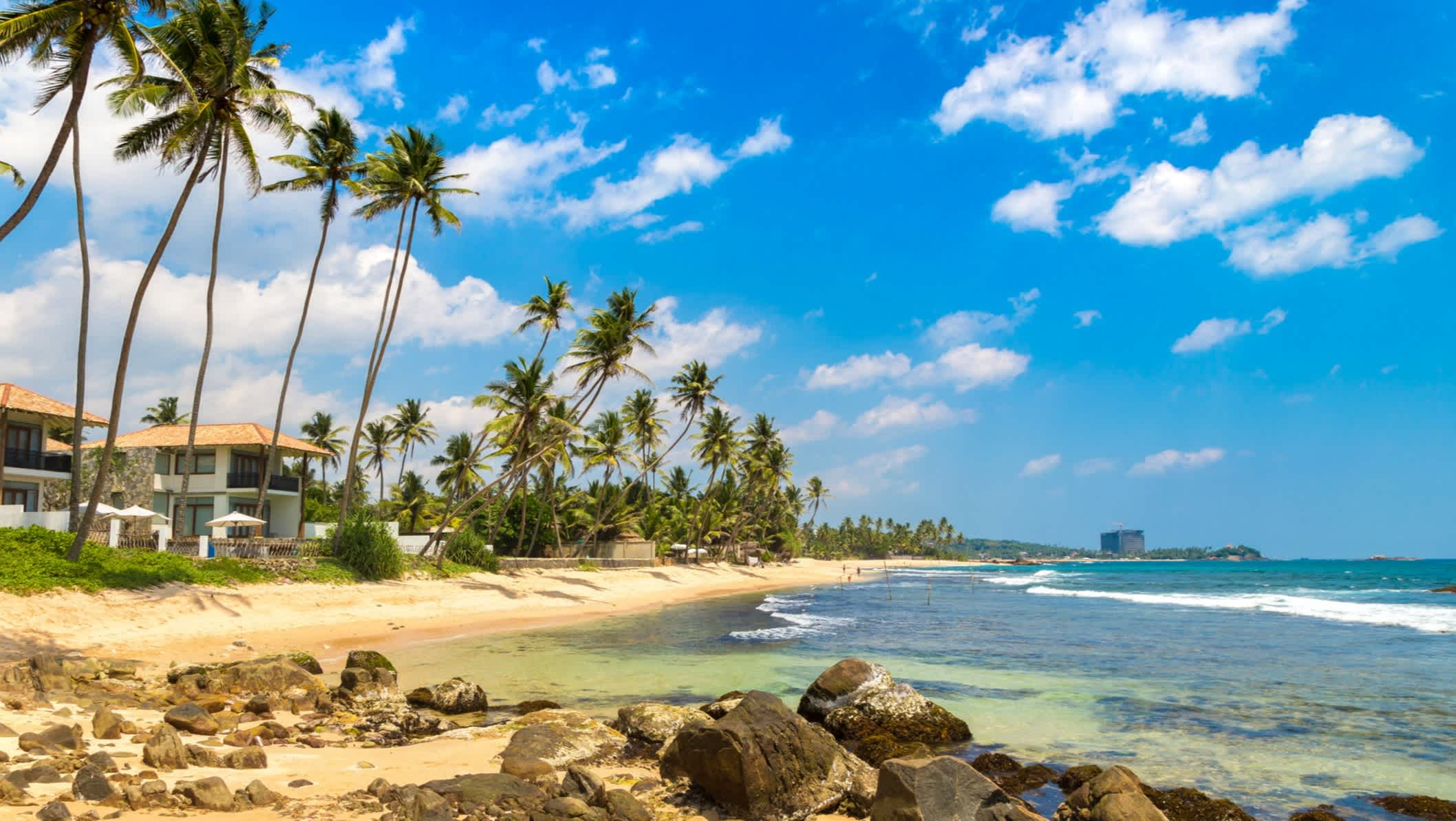 Vue de la plage bordée cocotiers de Dalawella par une journée ensoleillée au Sri Lanka