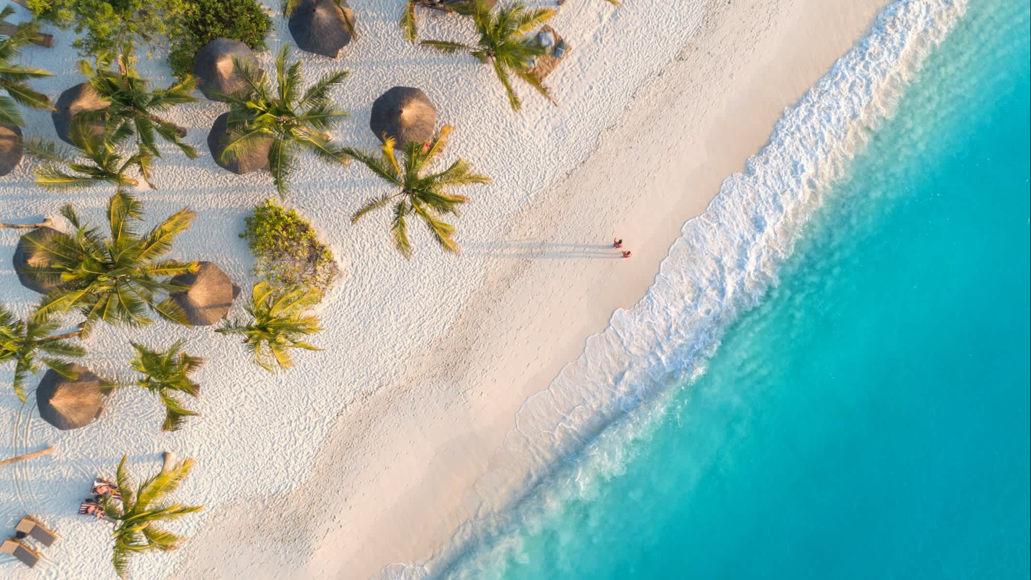 Vue aérienne d'une plage avec des cocotiers et une mer turquoise, à Zanzibar, en Tanzanie.