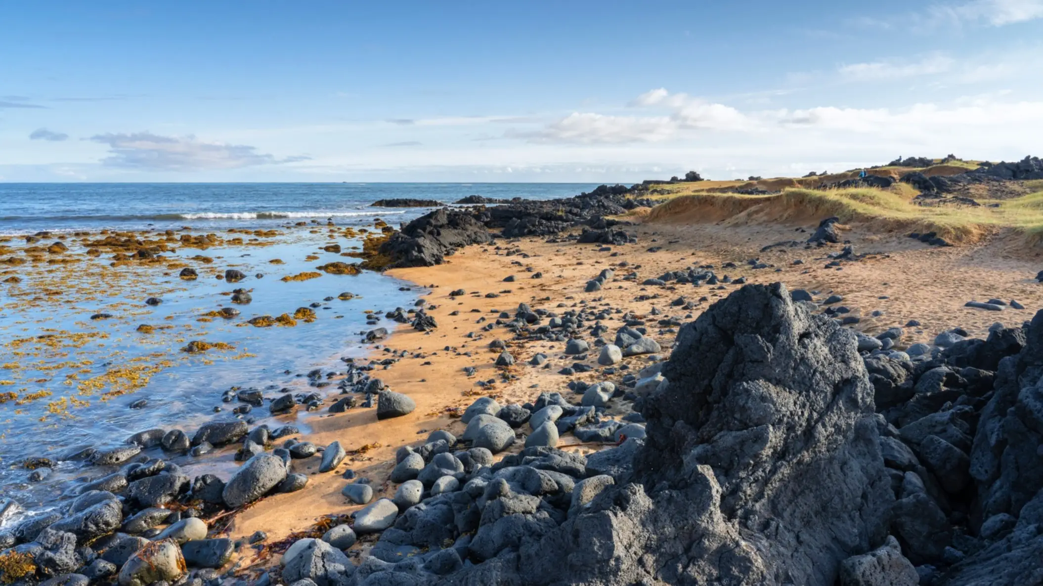 Islande, plage de Budir La plage rouge de Budir, Islande