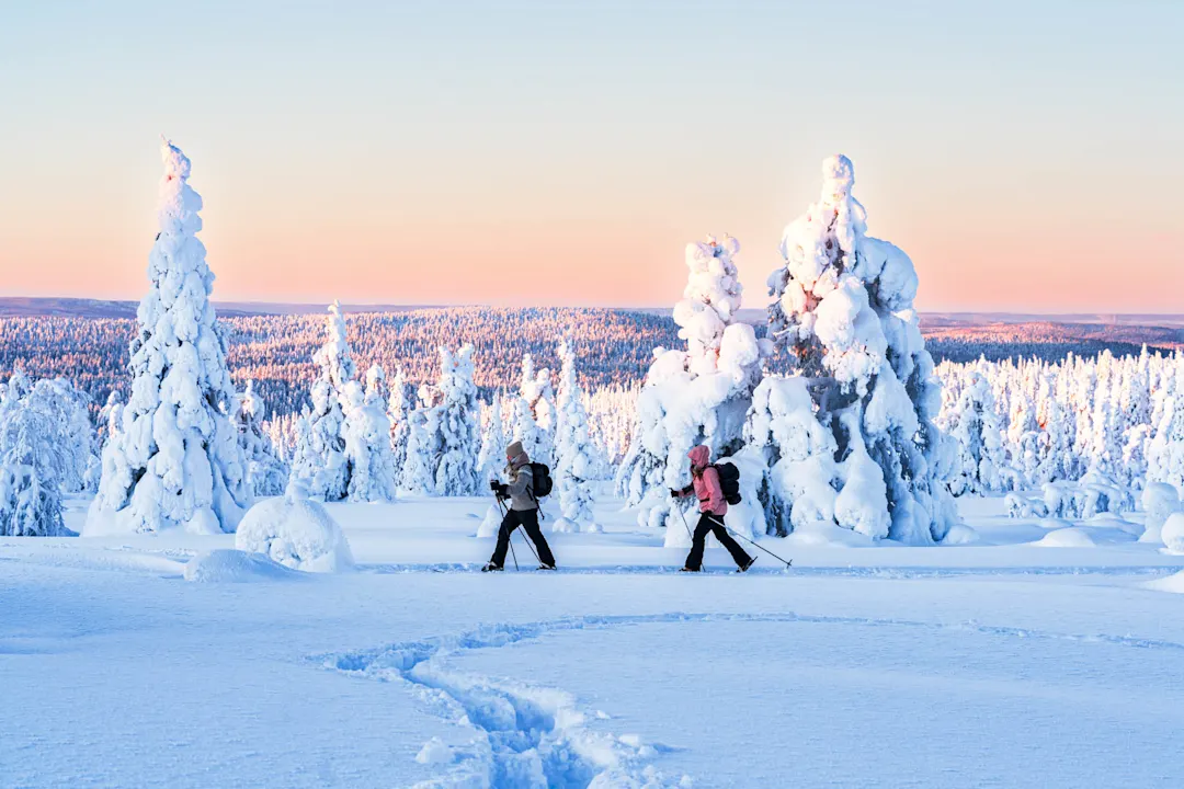 Finnisch-Lappland, Finnland, Schnee, Langlaufen, Winter

