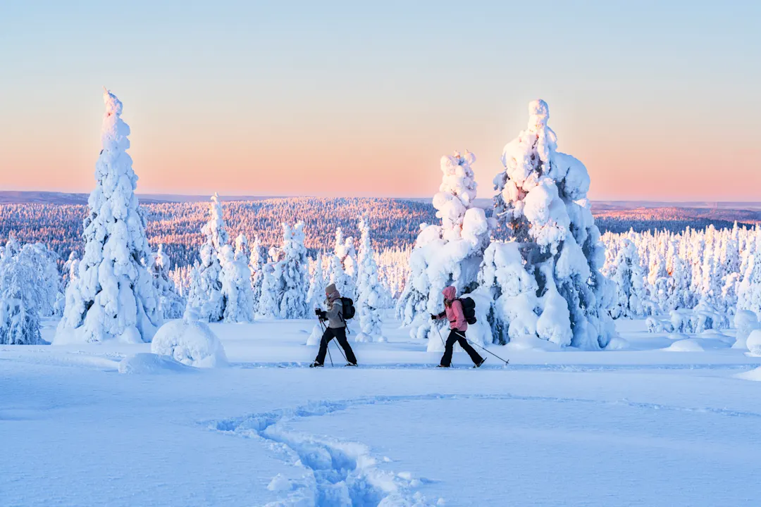 Finnisch-Lappland, Finnland, Schnee, Langlaufen, Winter

