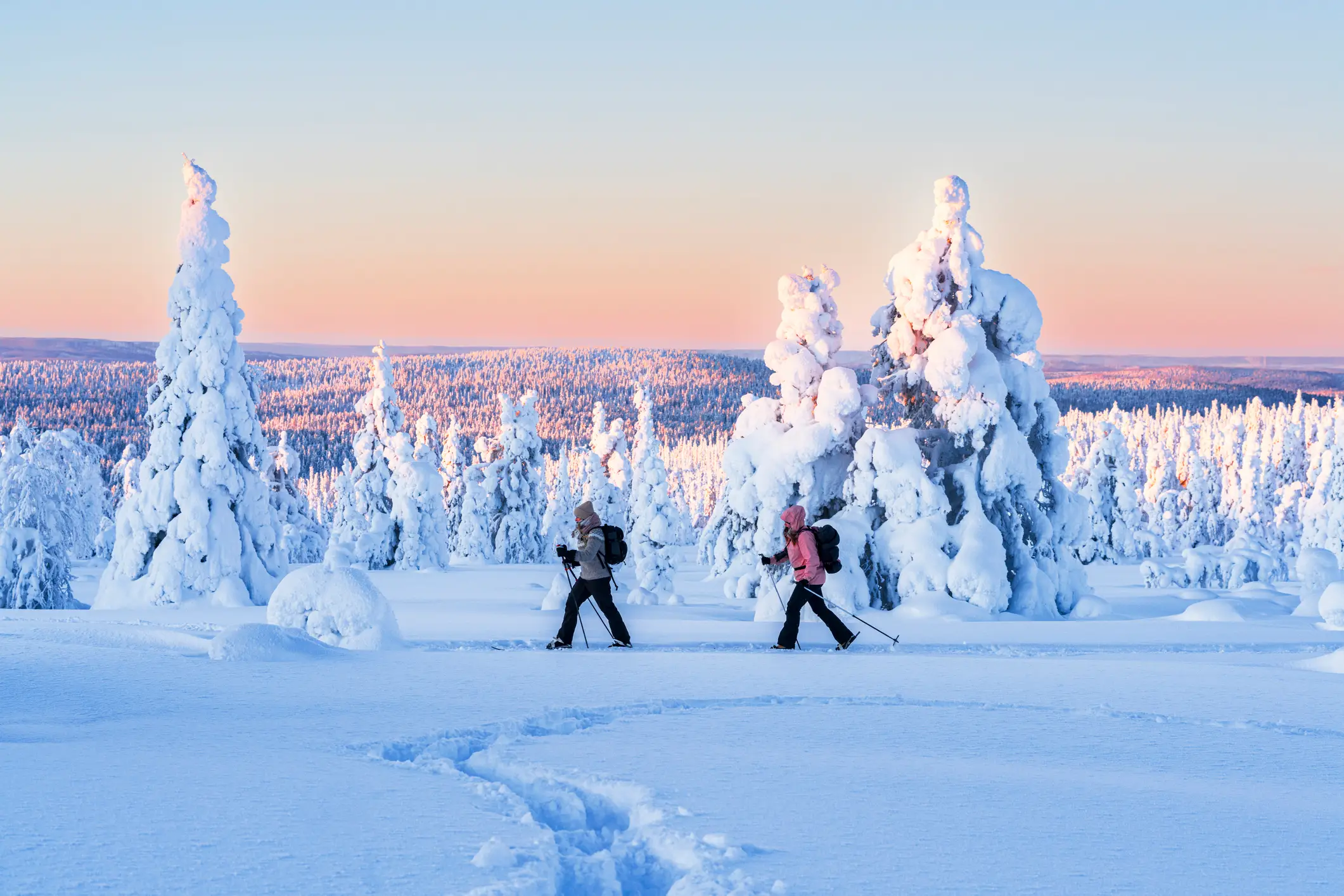 Finnisch-Lappland, Finnland, Schnee, Langlaufen, Winter Finnisch-Lappland, Finnland, Schnee, Langlaufen, Winter